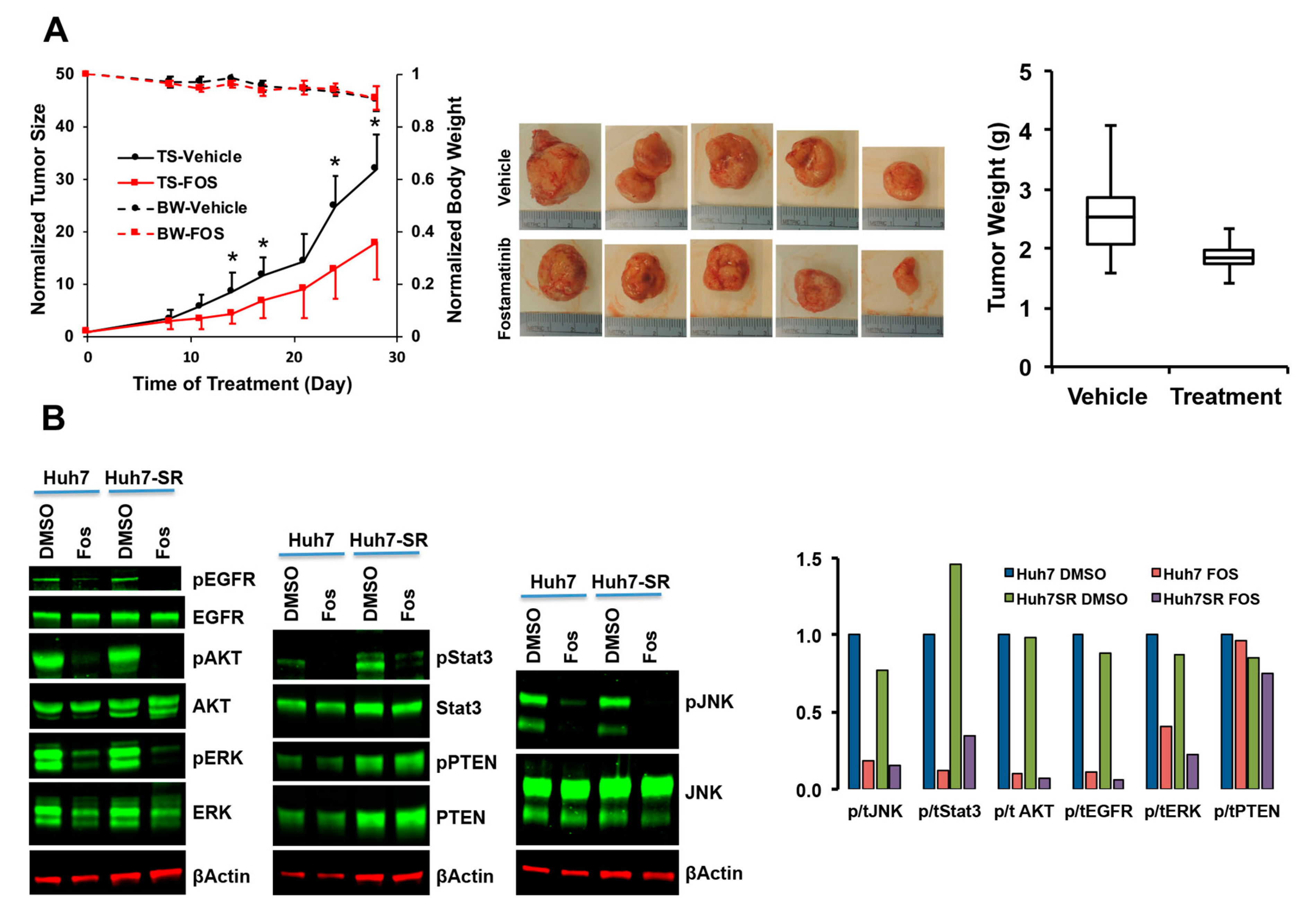 Cancers 12 02730 g005 Cancers 12 02730 g005