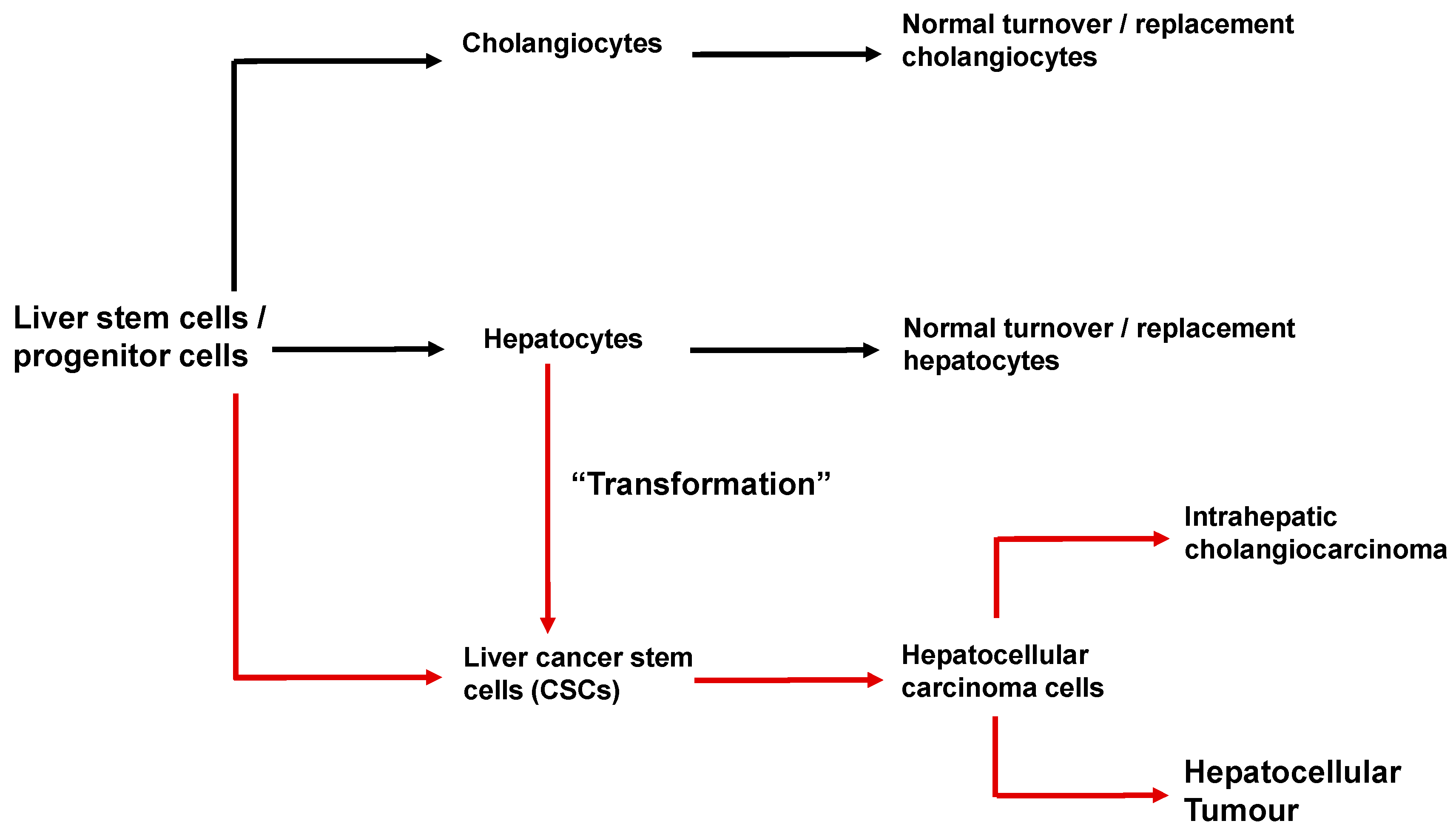 Cancers 12 02755 g006