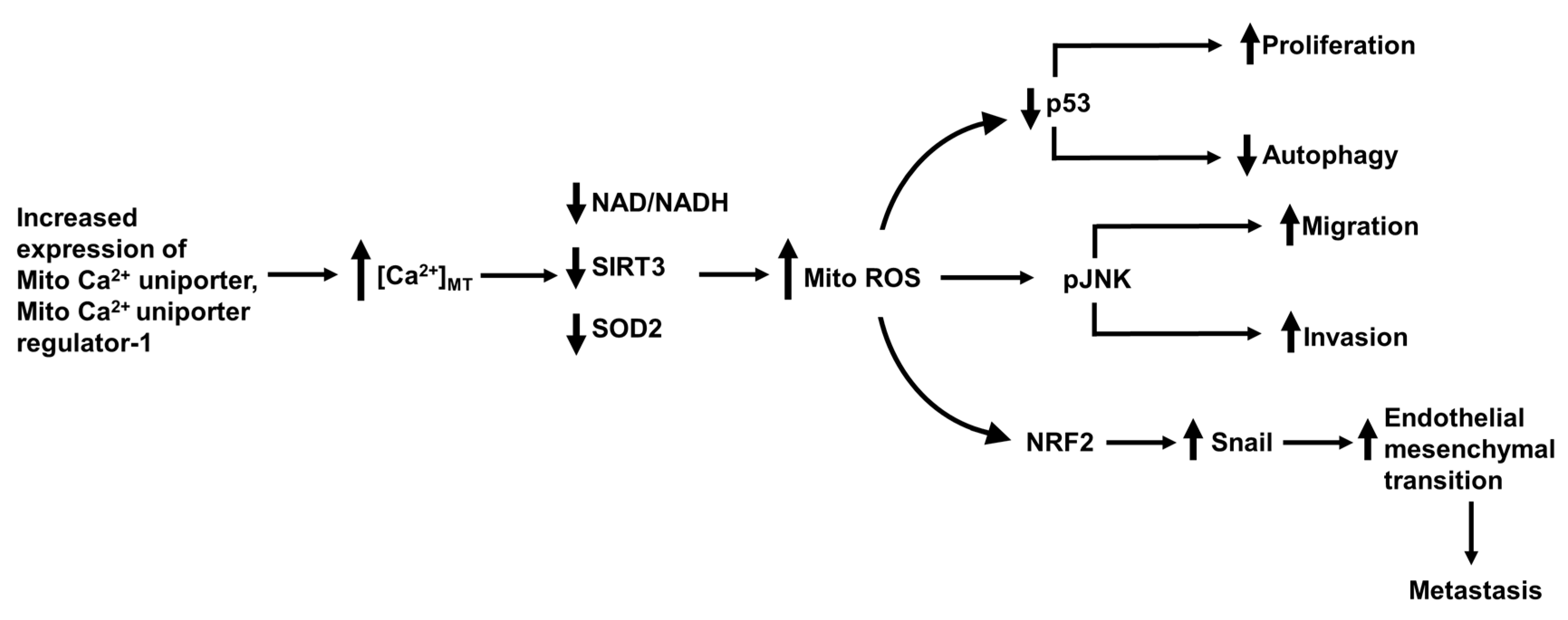 Cancers 12 02755 g009