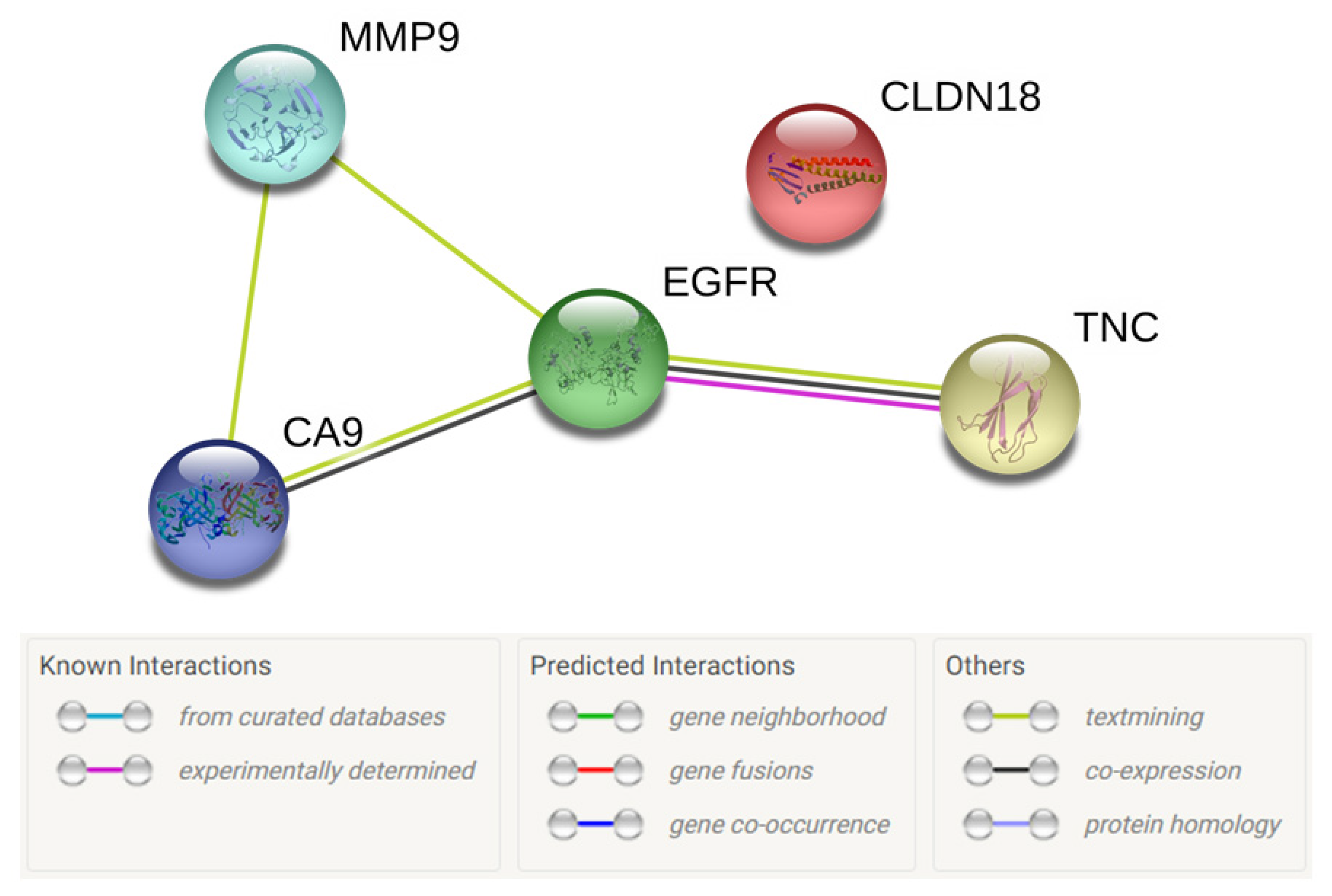 Cancers 12 02817 g003 Cancers 12 02817 g003