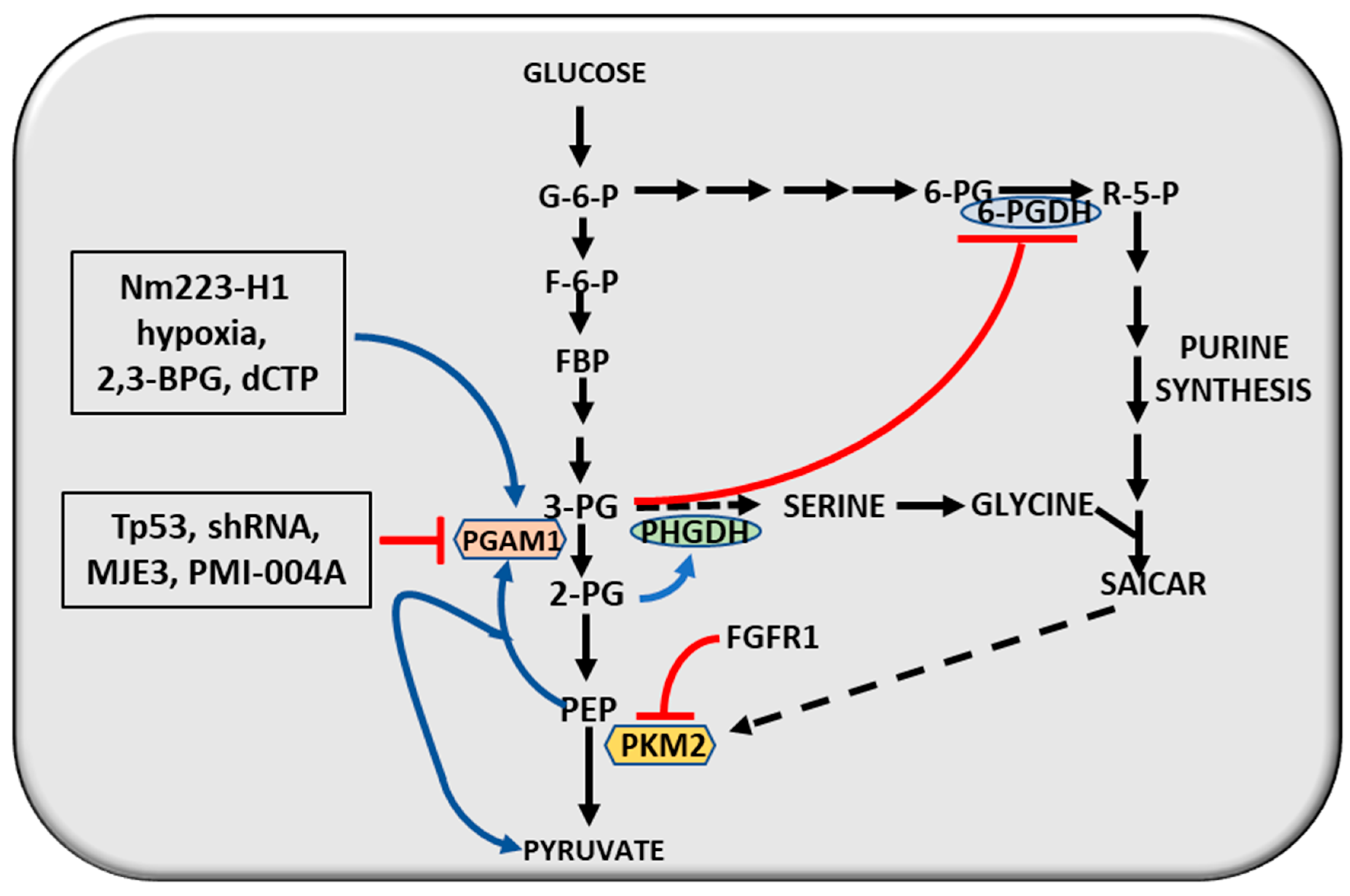 Cancers 12 02819 g006 Cancers 12 02819 g006