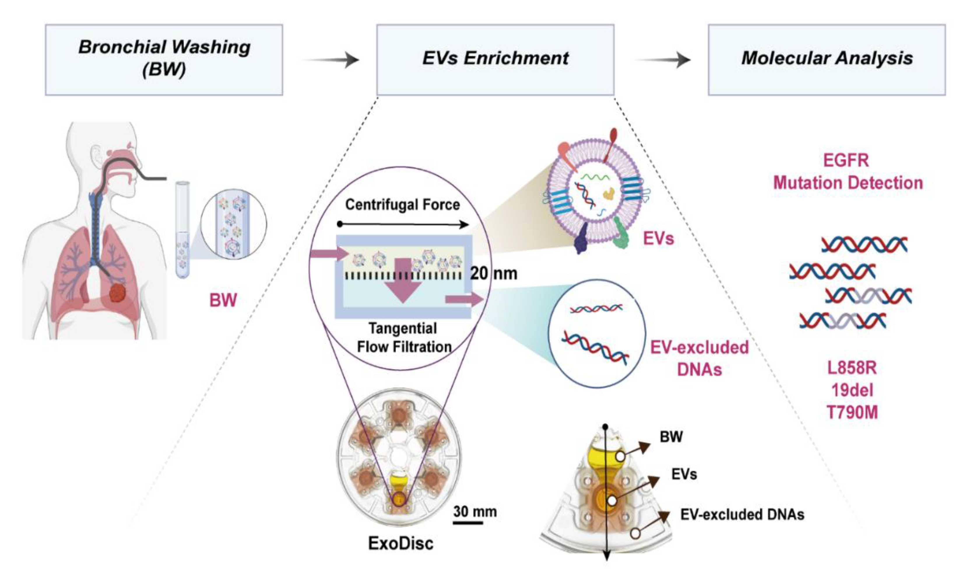 Cancers 12 02822 g001 Cancers 12 02822 g001