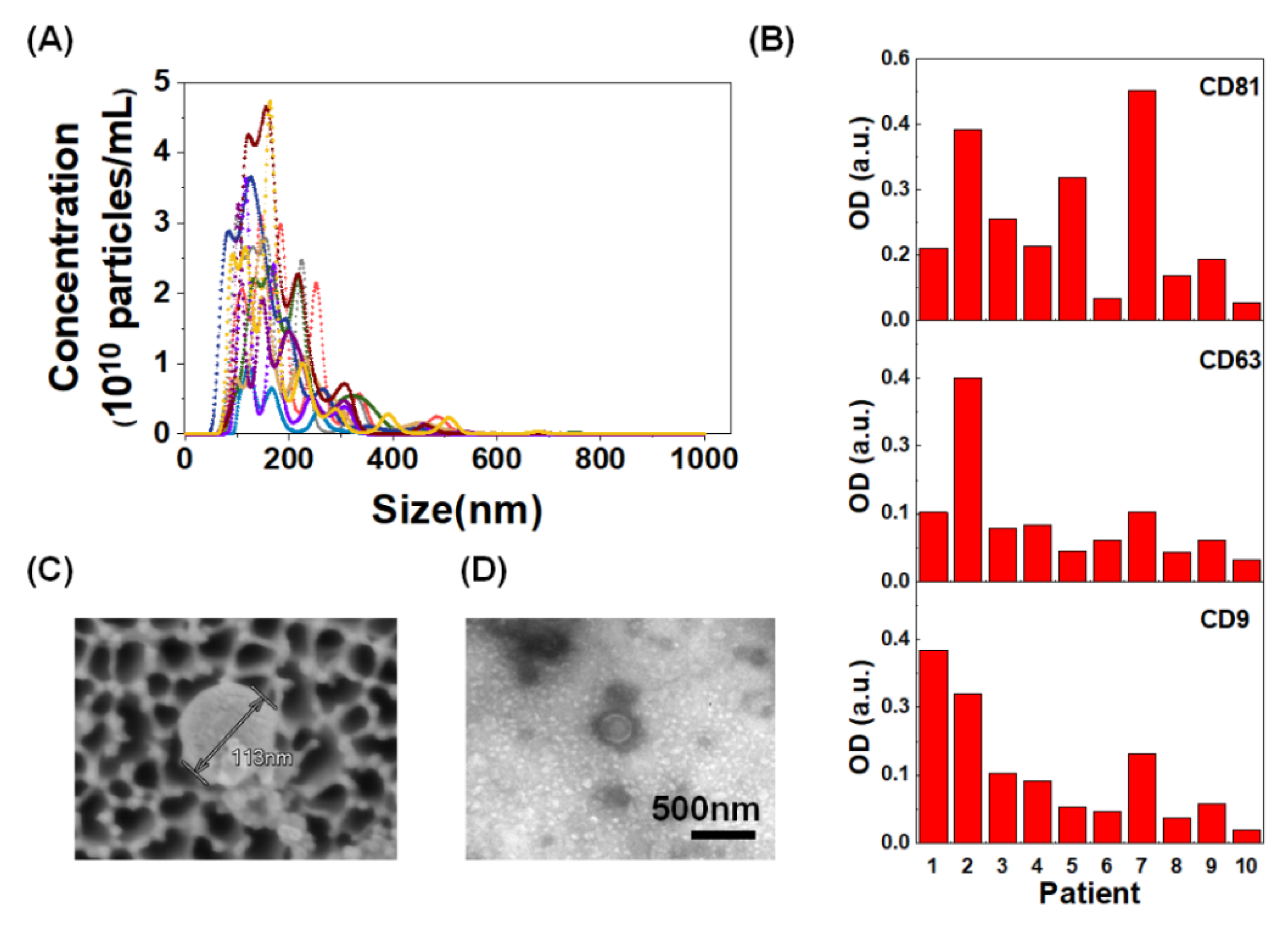 Cancers 12 02822 g002 Cancers 12 02822 g002