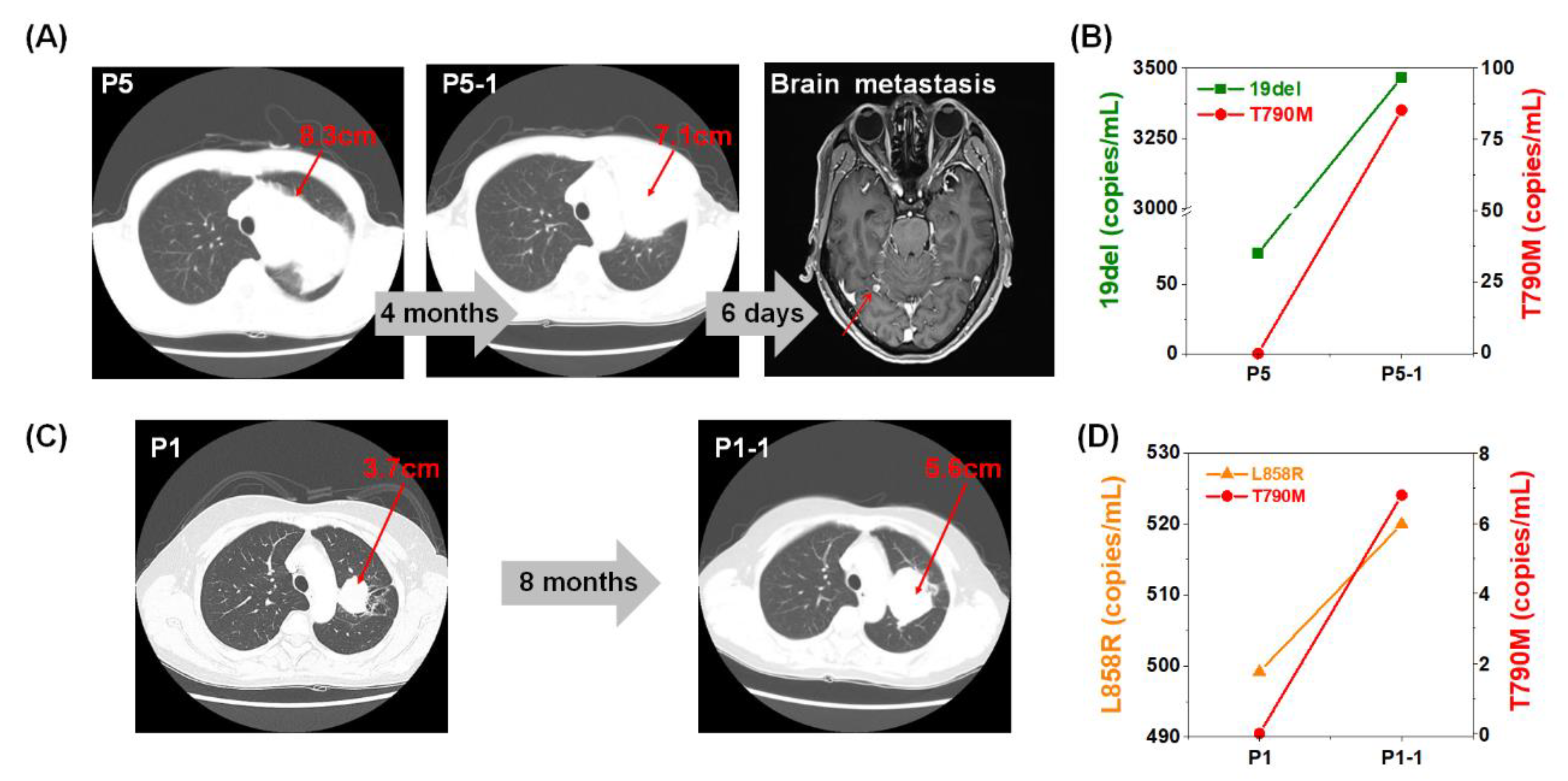 Cancers 12 02822 g004 Cancers 12 02822 g004