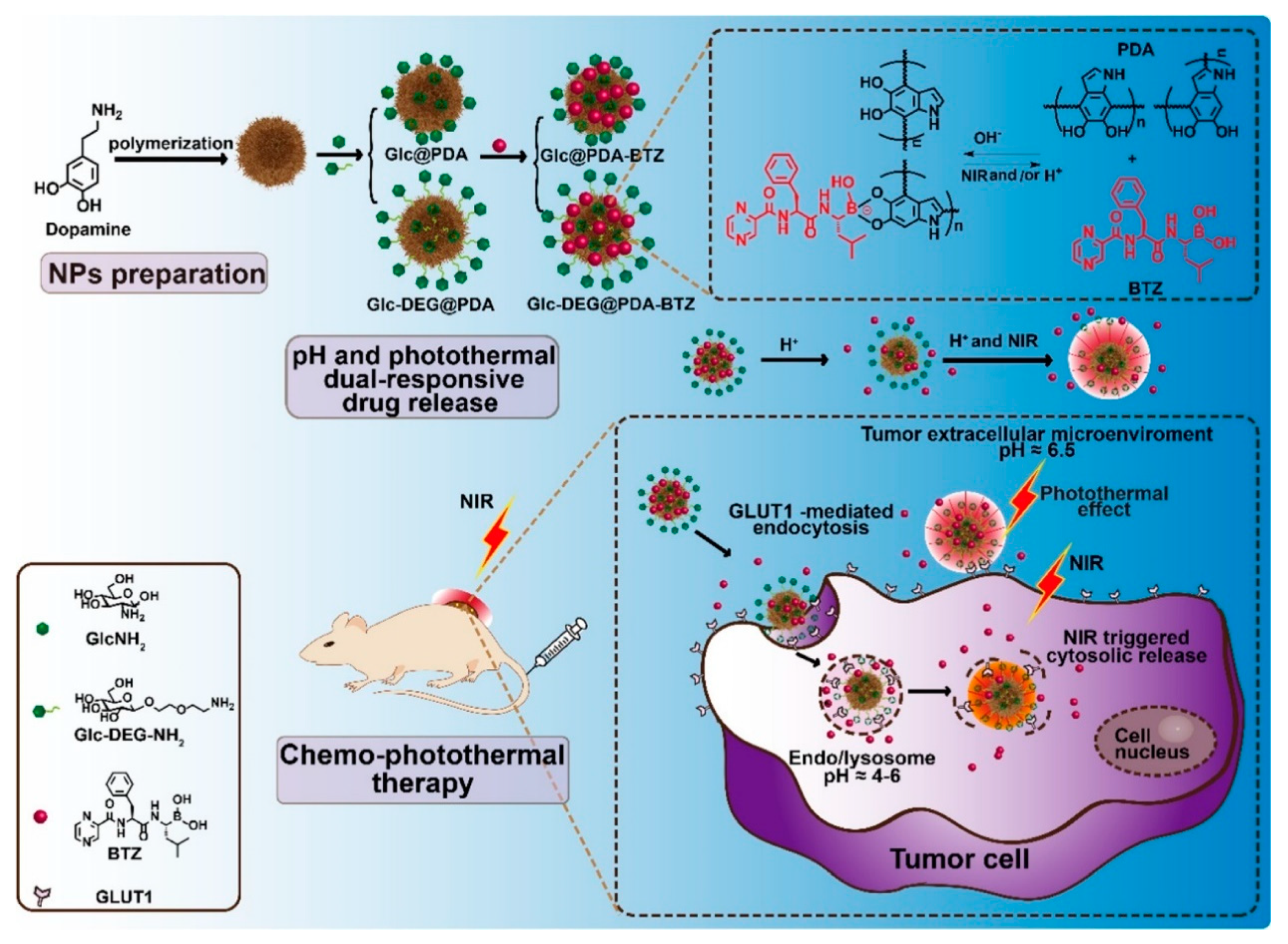 Cancers 12 02837 g006