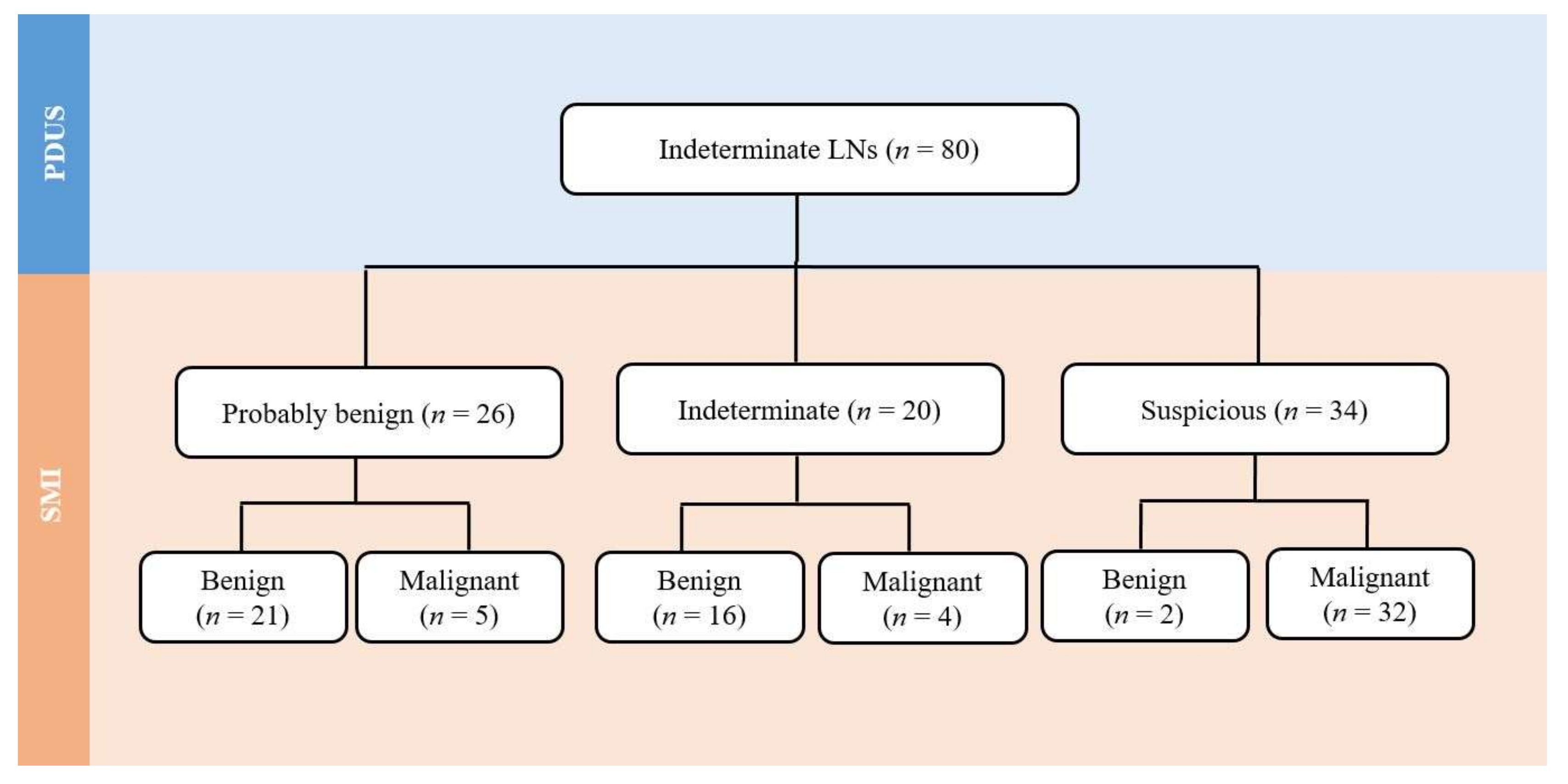 Indeterminate Universe