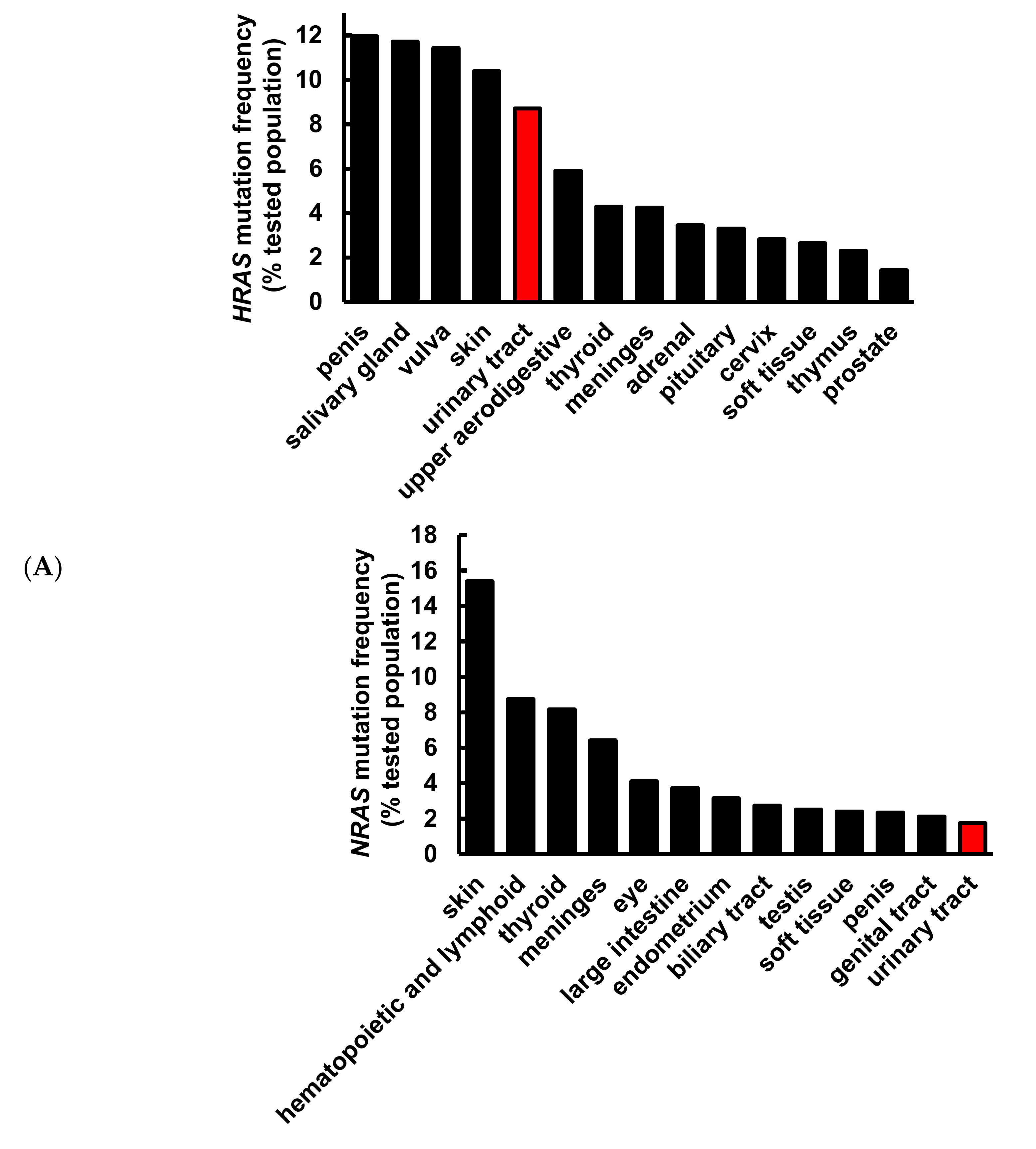 Cancers Free Full Text Pterostilbene Sensitizes Cisplatin Resistant Human Bladder Cancer Cells With Oncogenic Hras Html