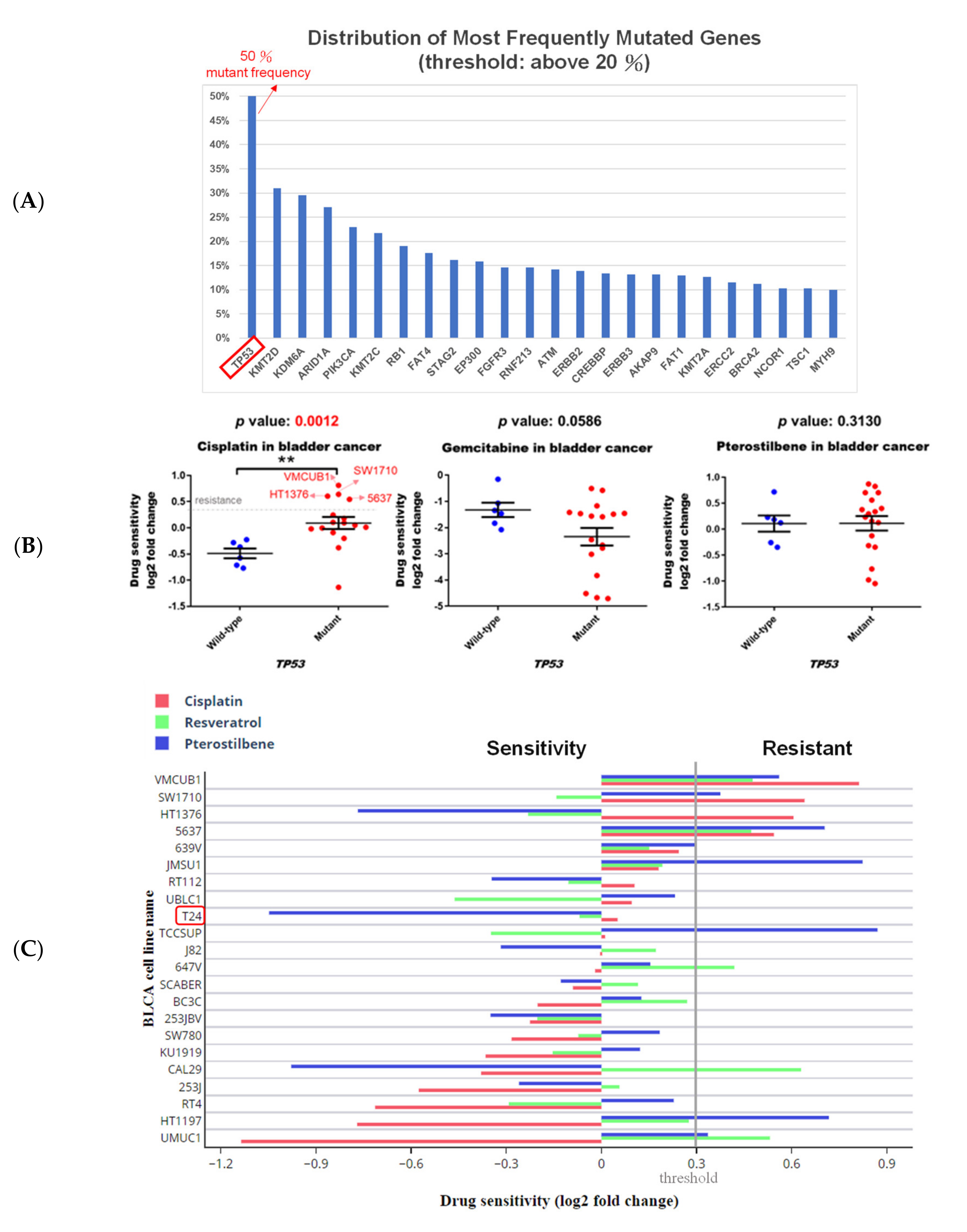 Cancers Free Full Text Pterostilbene Sensitizes Cisplatin Resistant Human Bladder Cancer Cells With Oncogenic Hras Html