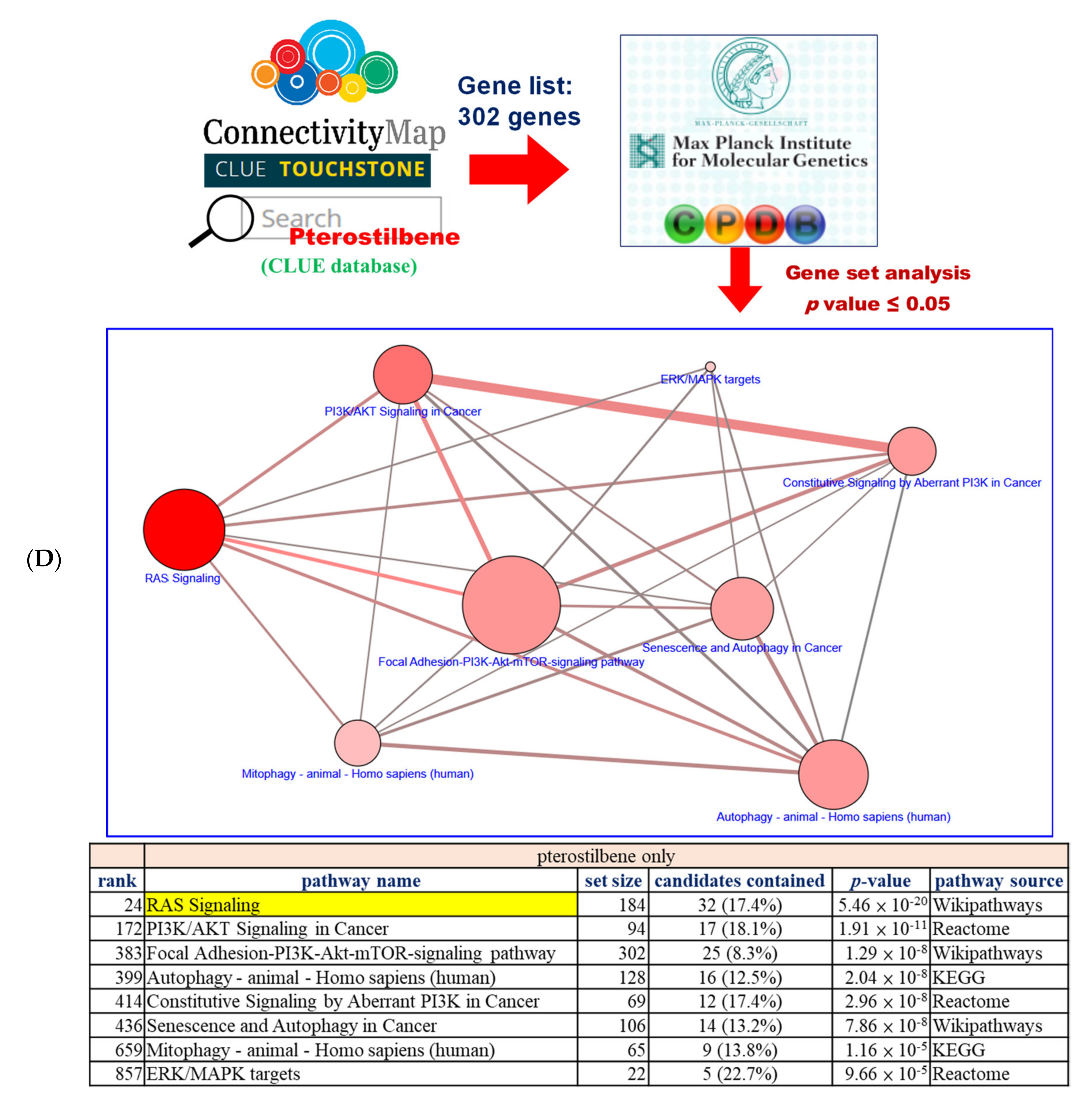 Cancers Free Full Text Pterostilbene Sensitizes Cisplatin Resistant Human Bladder Cancer Cells With Oncogenic Hras Html