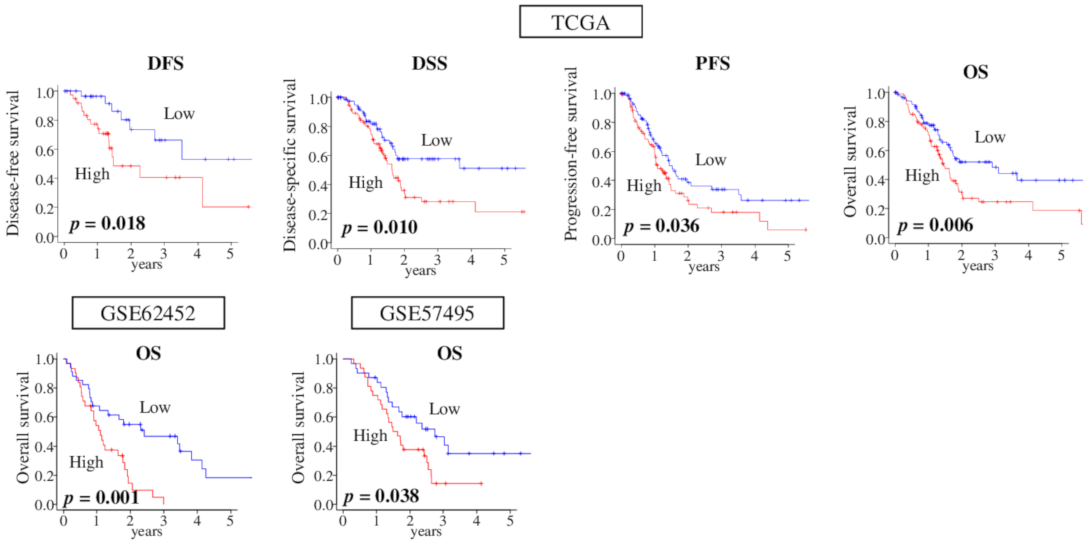 Cancers 12 02871 g005 Cancers 12 02871 g005
