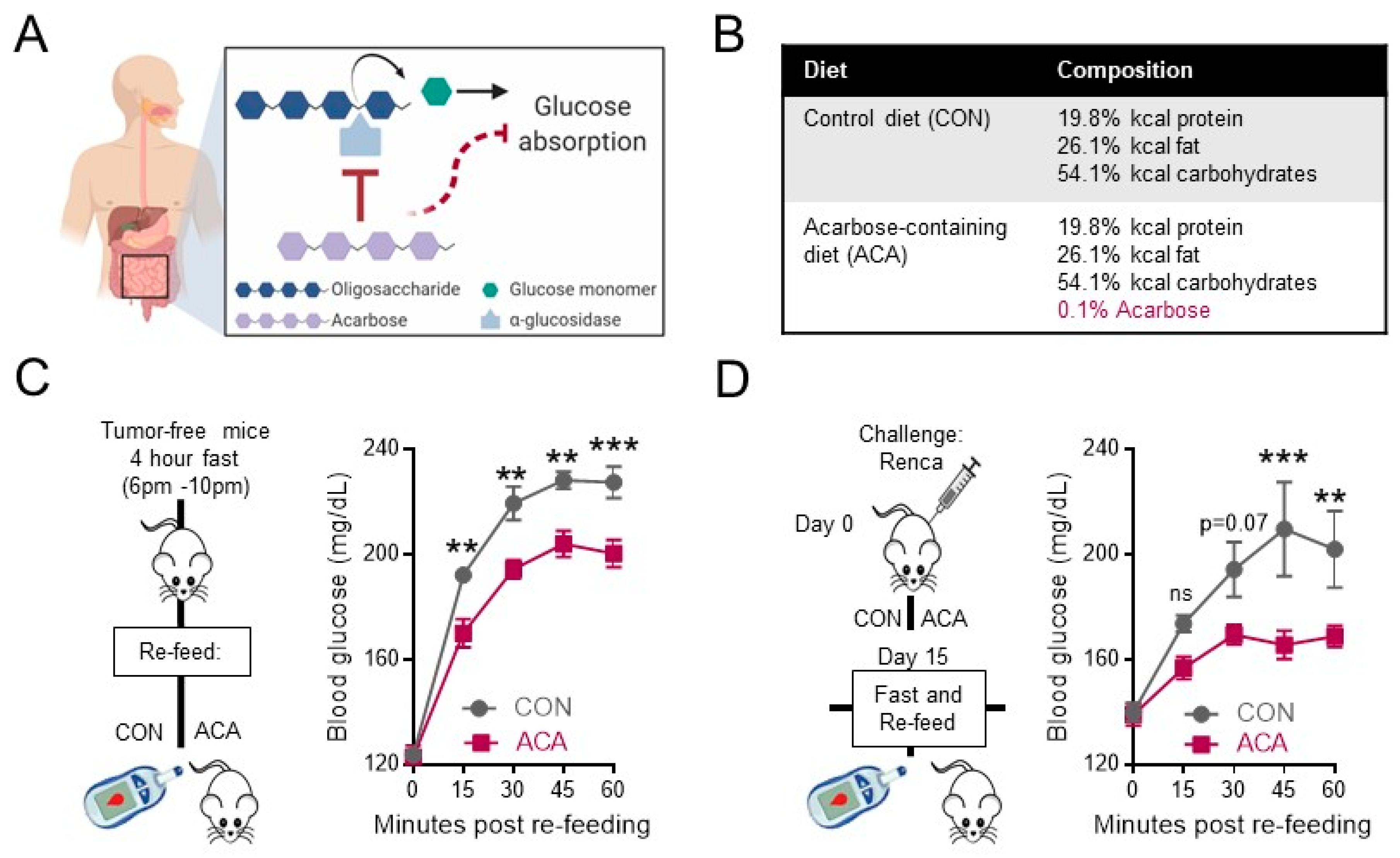 Cancers 12 02872 g001
