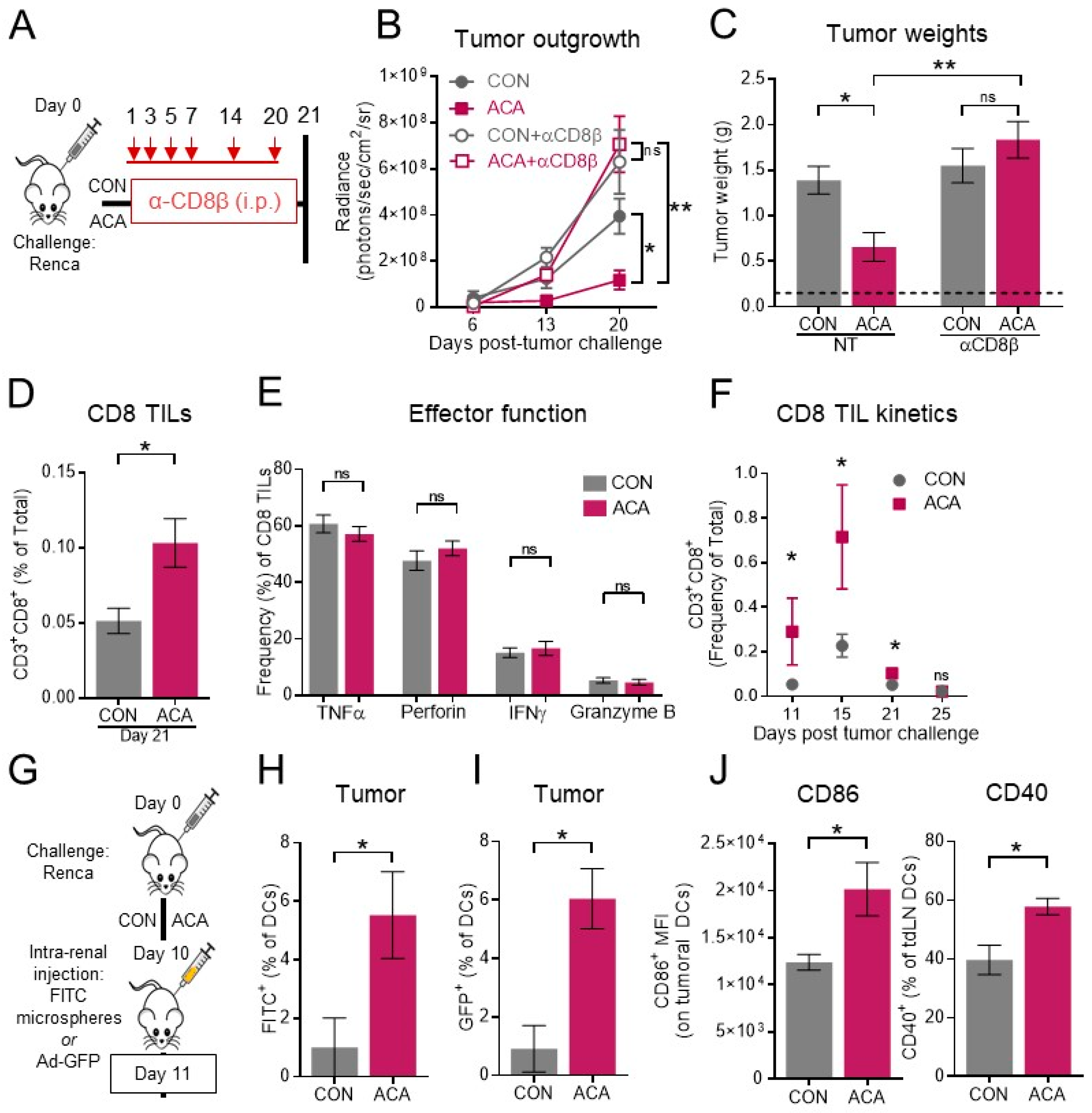 Cancers 12 02872 g004
