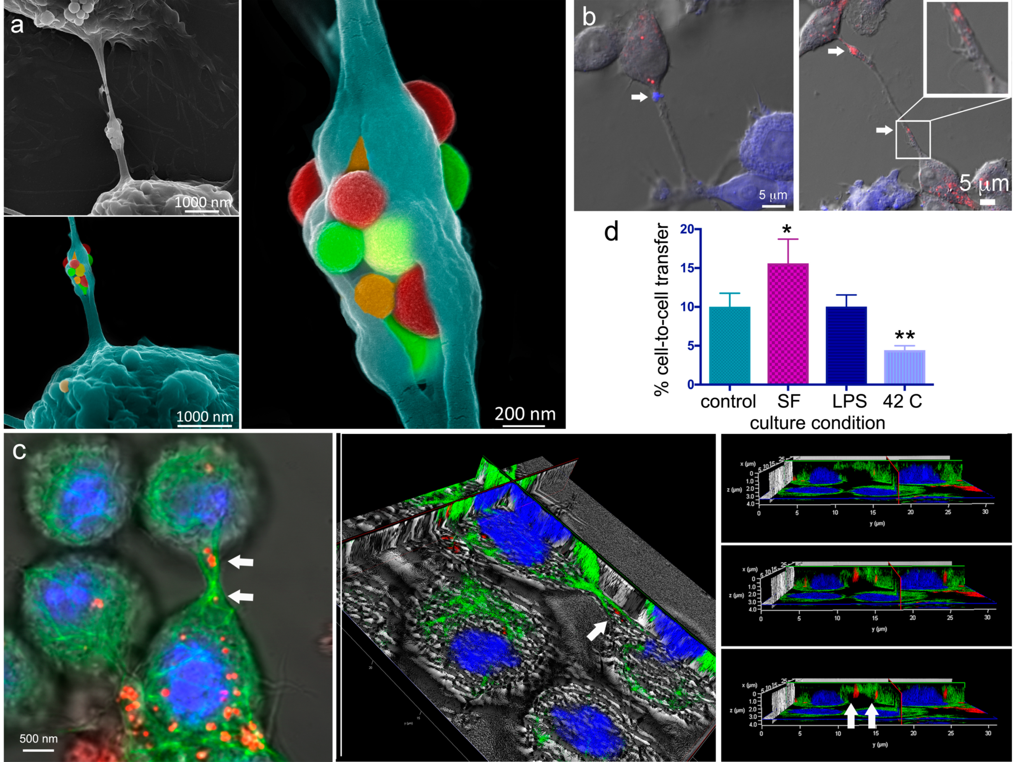 Cancers 12 02892 g004