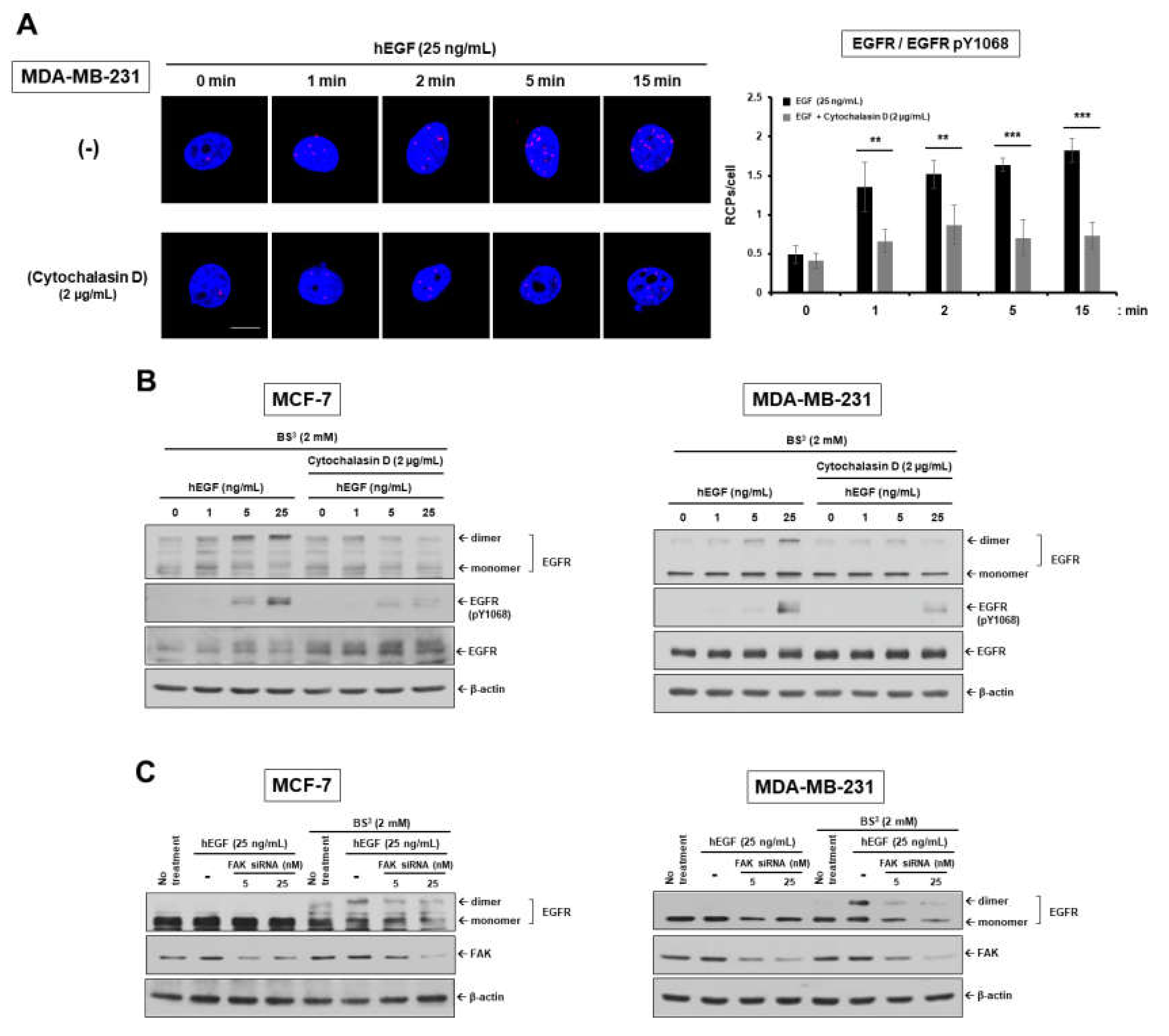 Cancers 12 02895 g001a