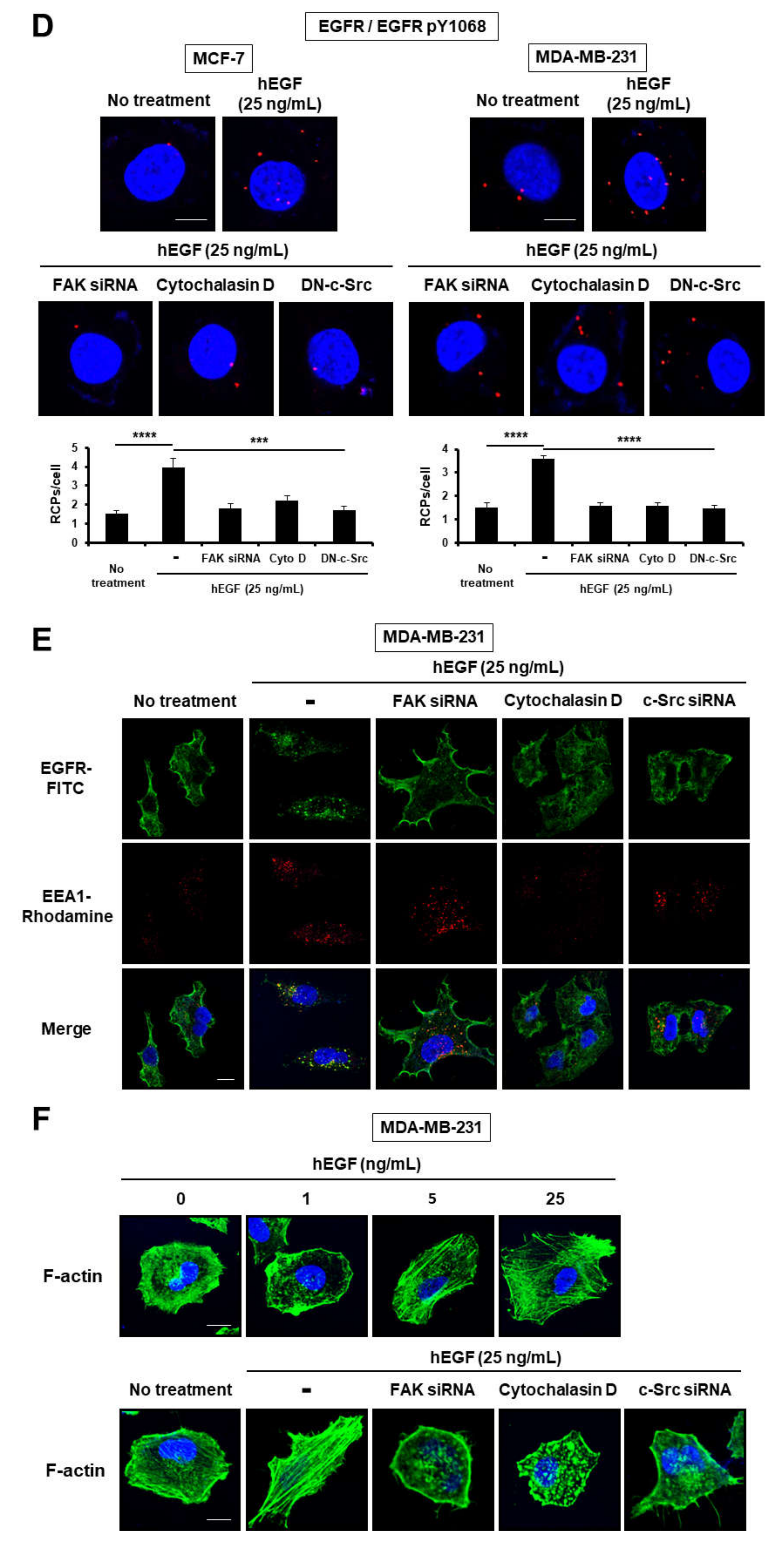 Cancers 12 02895 g001b