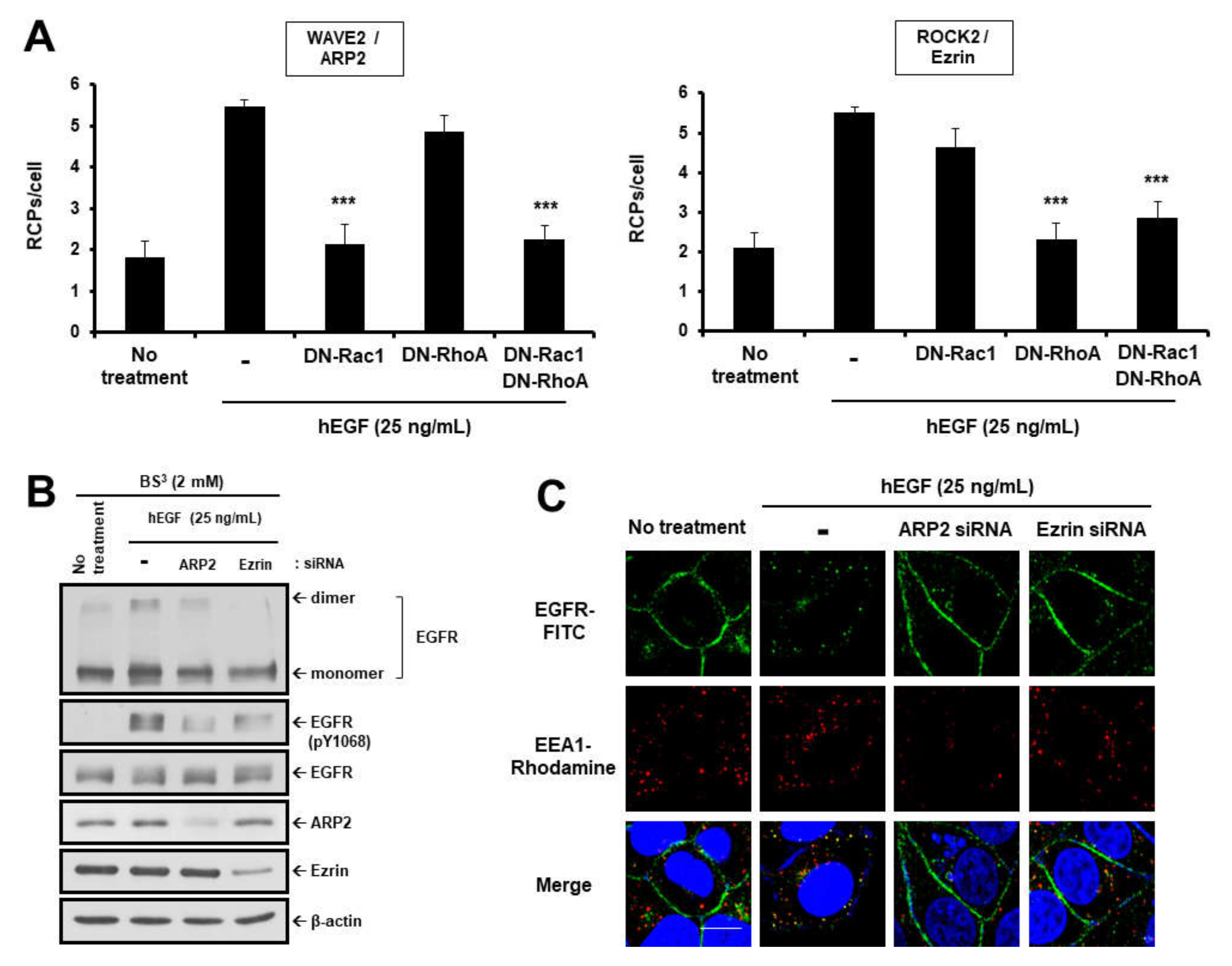 Cancers 12 02895 g003a