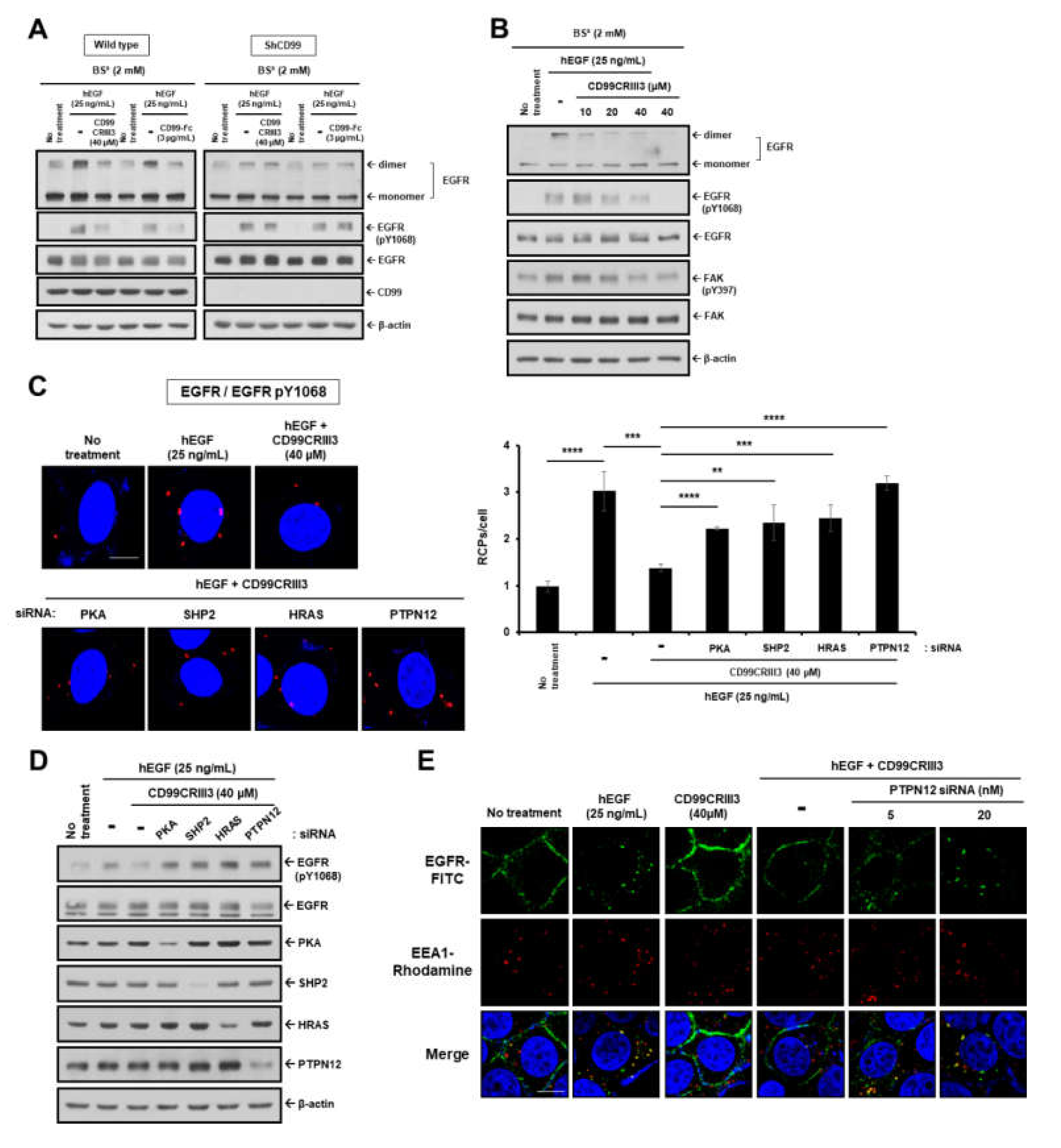 Cancers 12 02895 g004