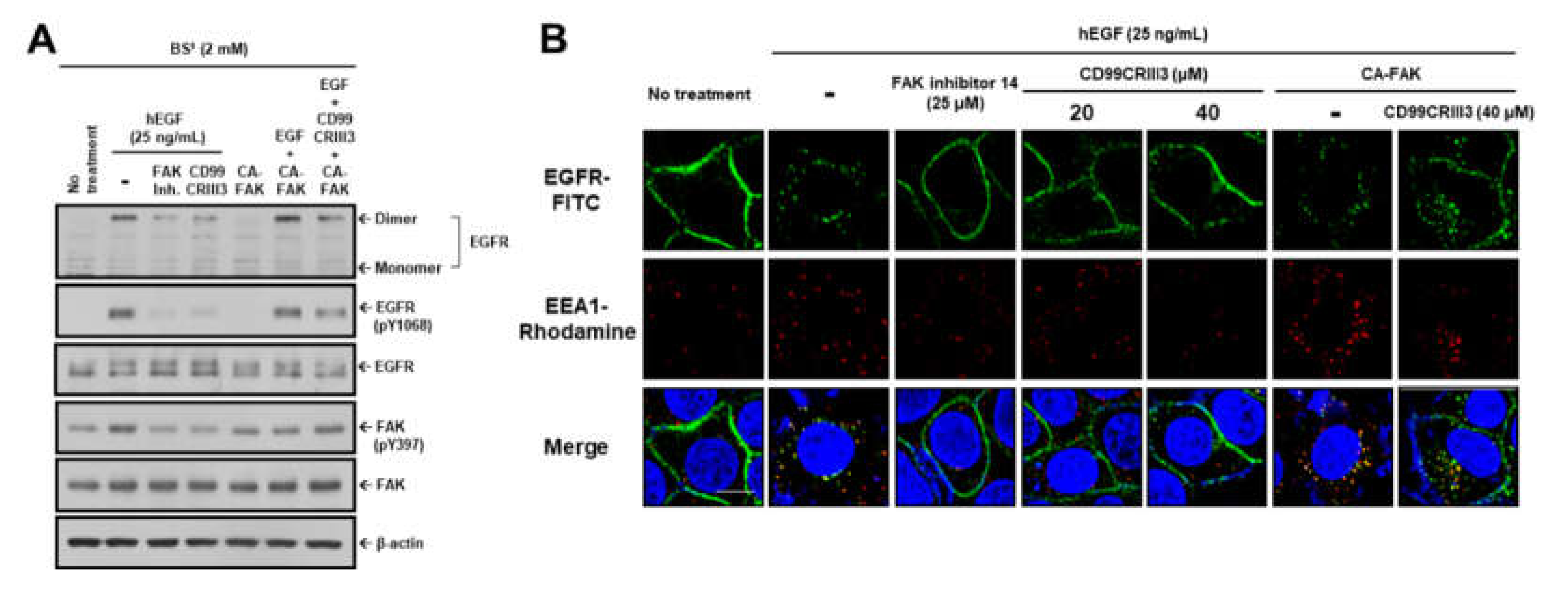 Cancers 12 02895 g005a