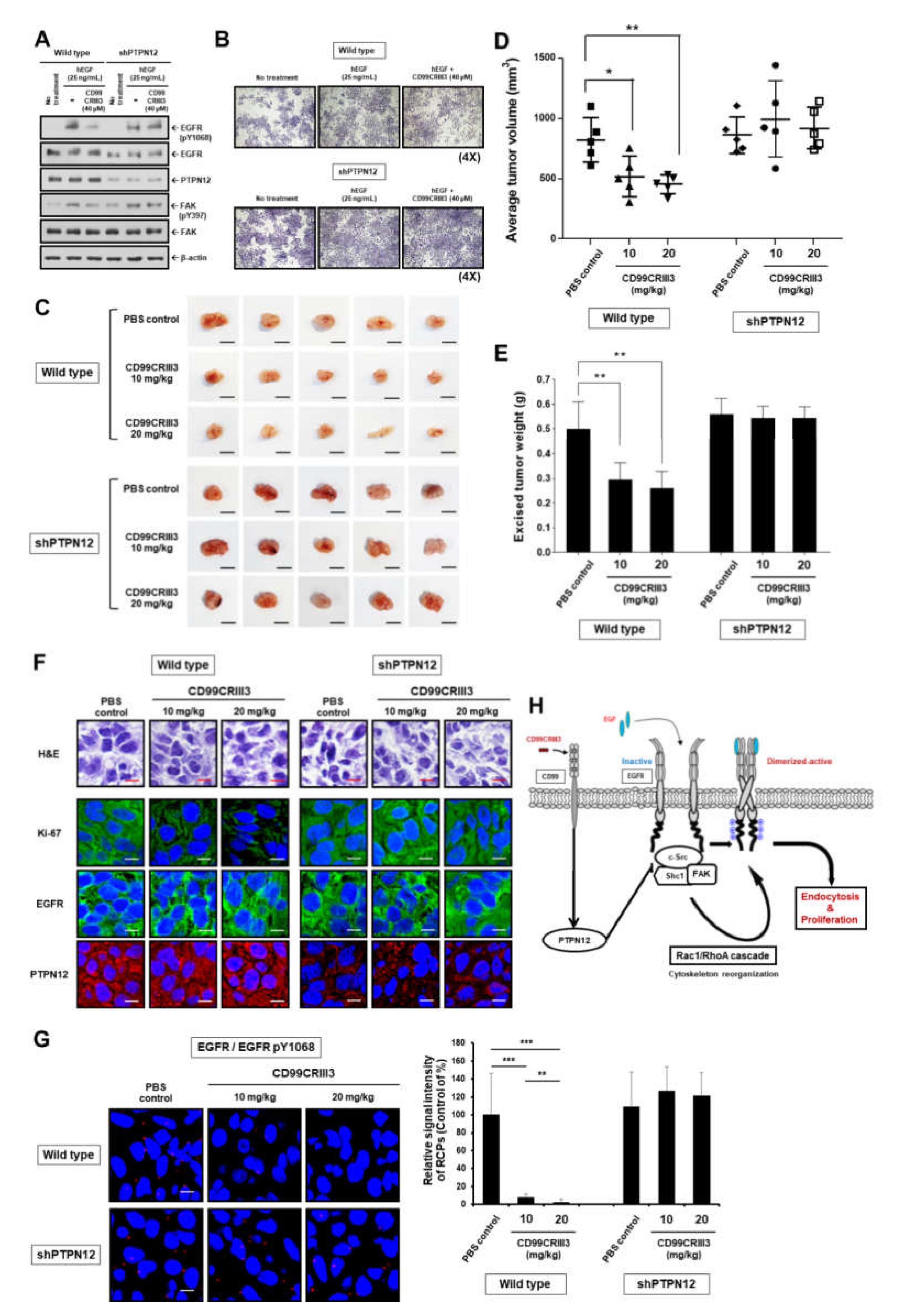 Cancers 12 02895 g007