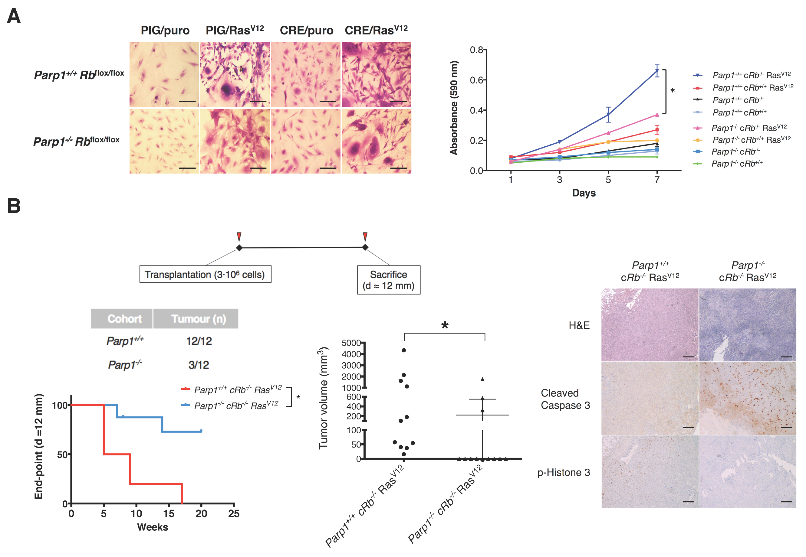 Cancers 12 02907 g003
