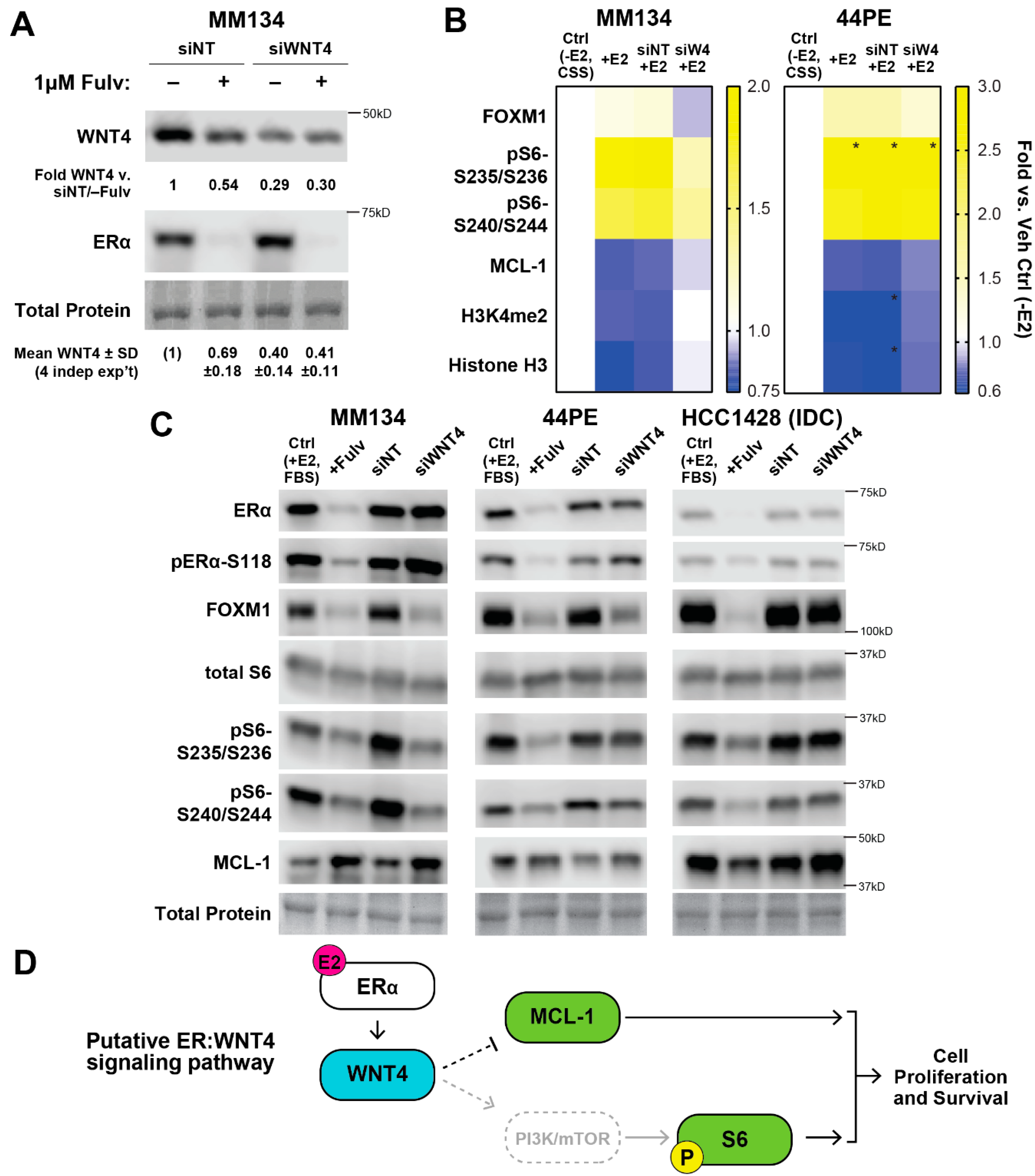 Cancers 12 02931 g002