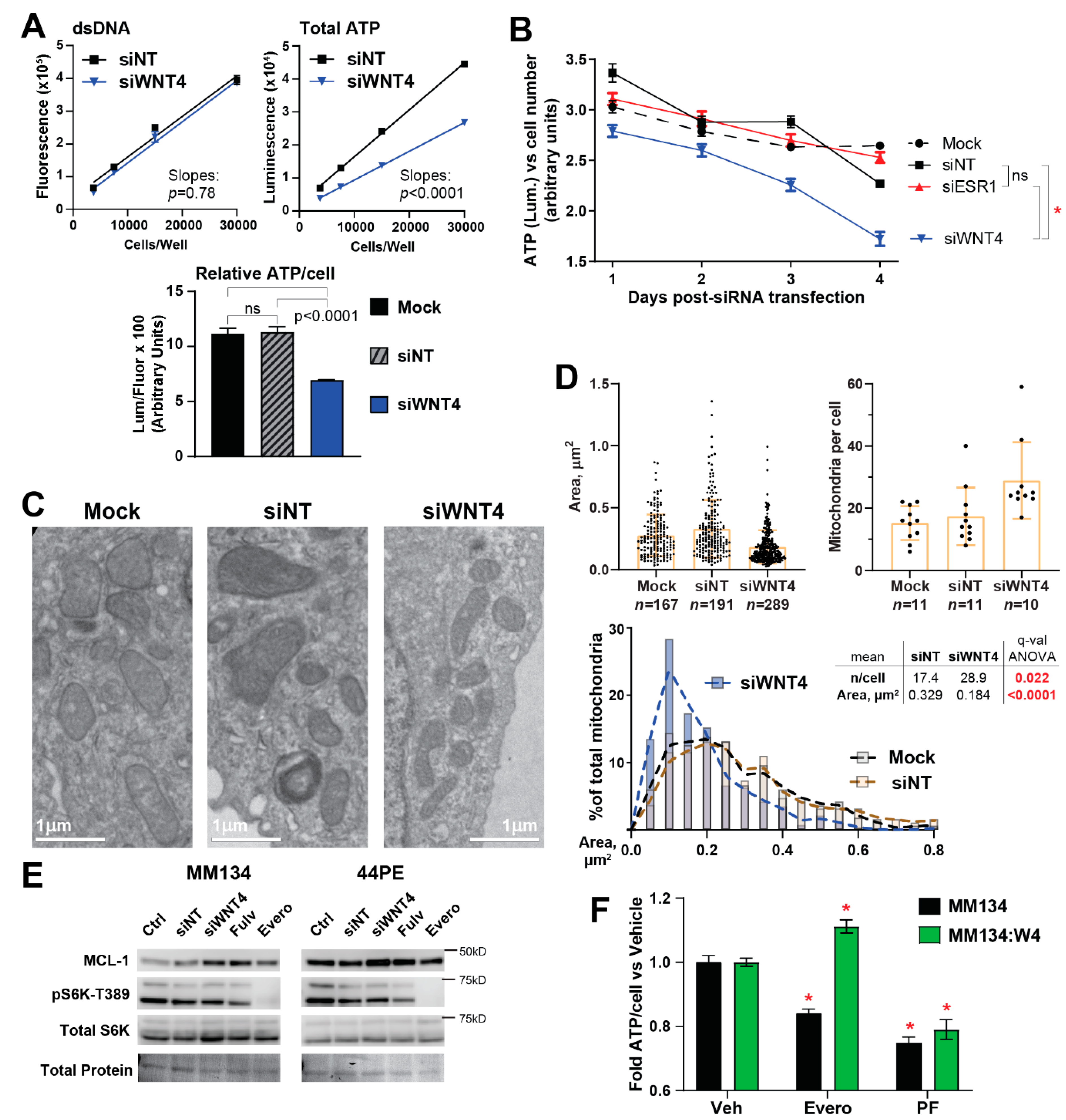 Cancers 12 02931 g004