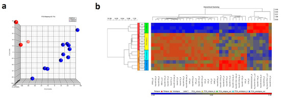 Cancers | Special Issue : New Therapeutic Advances In Rare Tumors