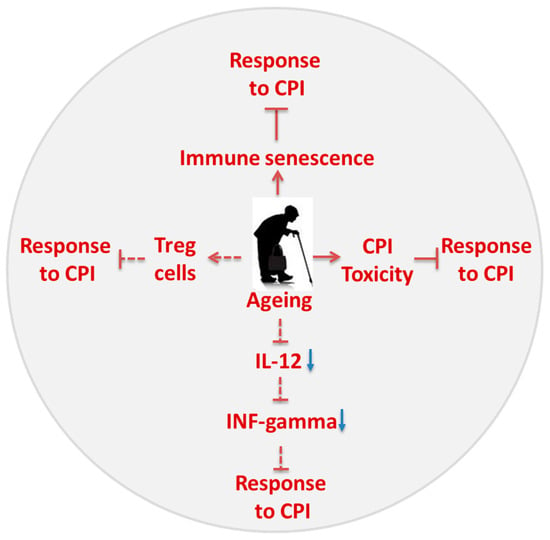 Cancers Free Full Text The Confounders Of Cancer Immunotherapy Roles Of Lifestyle Metabolic Disorders And Sociological Factors Html