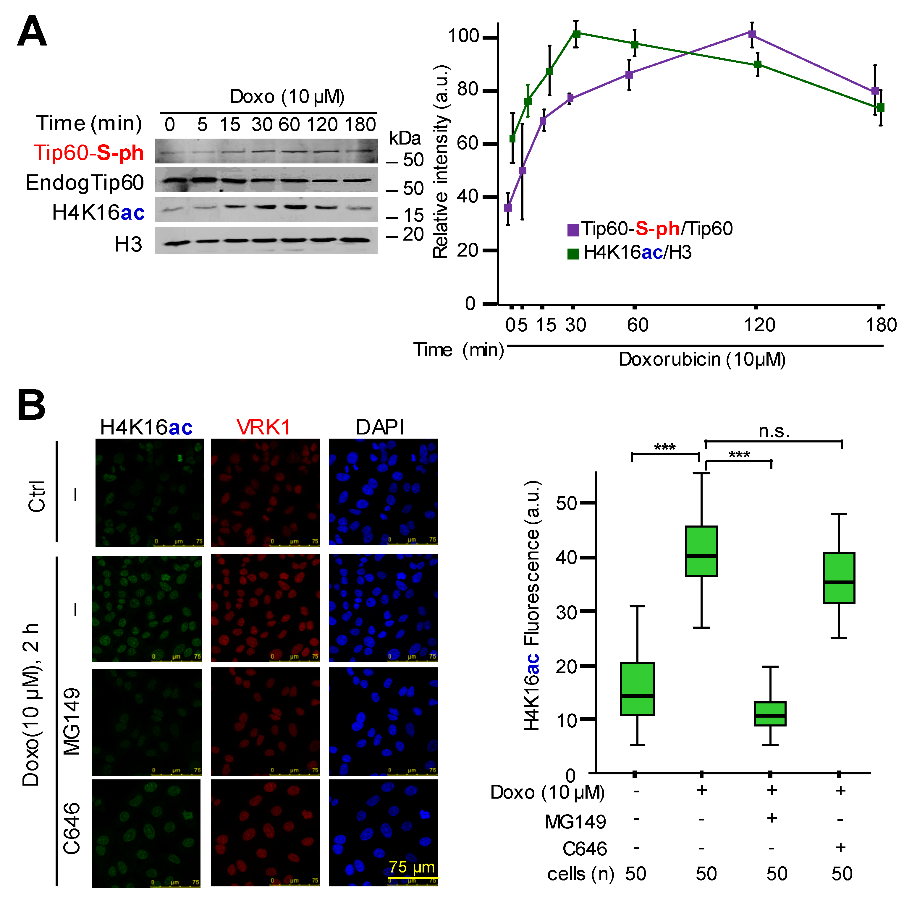 Cancers 12 02986 g001 Cancers 12 02986 g001