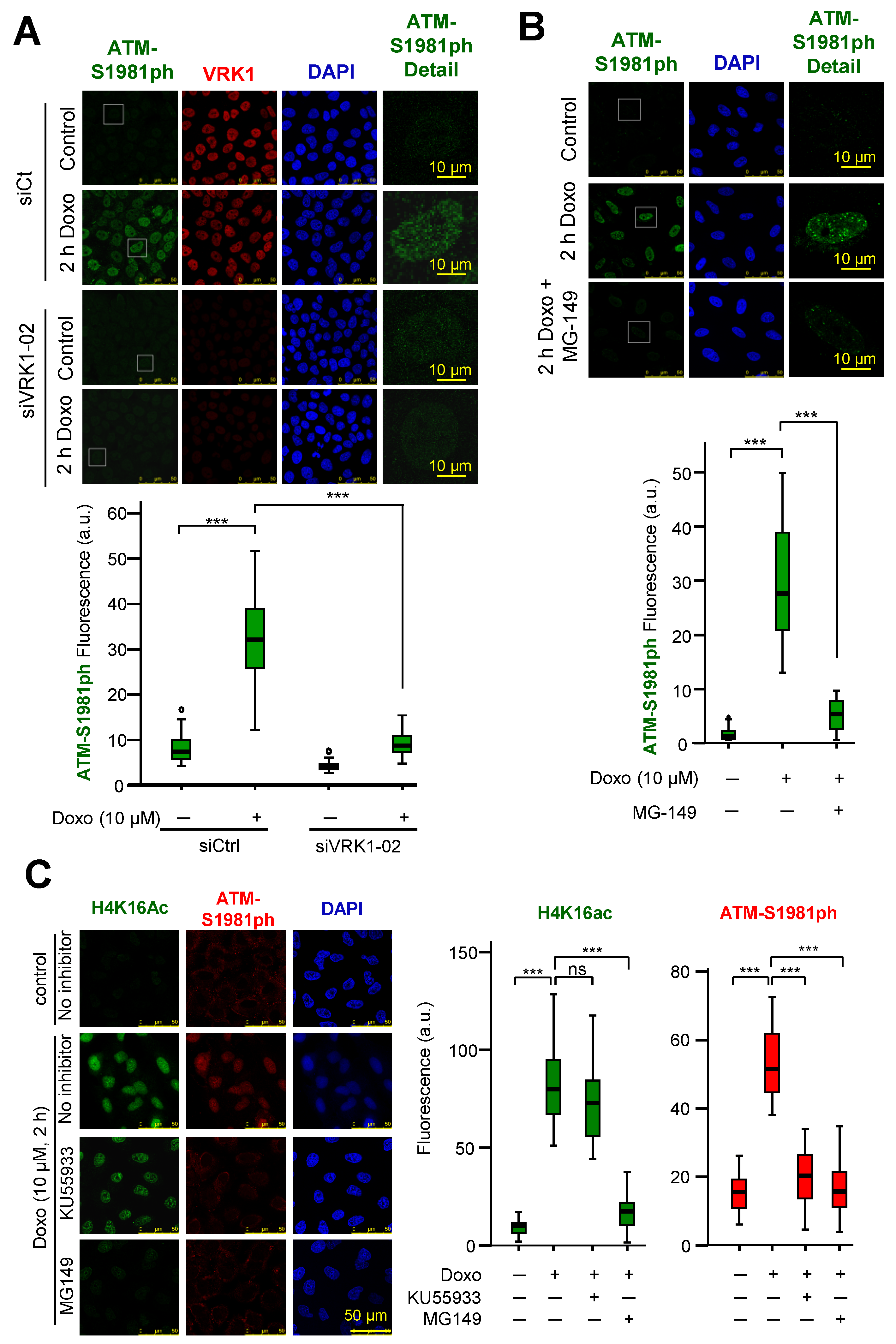 Cancers 12 02986 g008 Cancers 12 02986 g008
