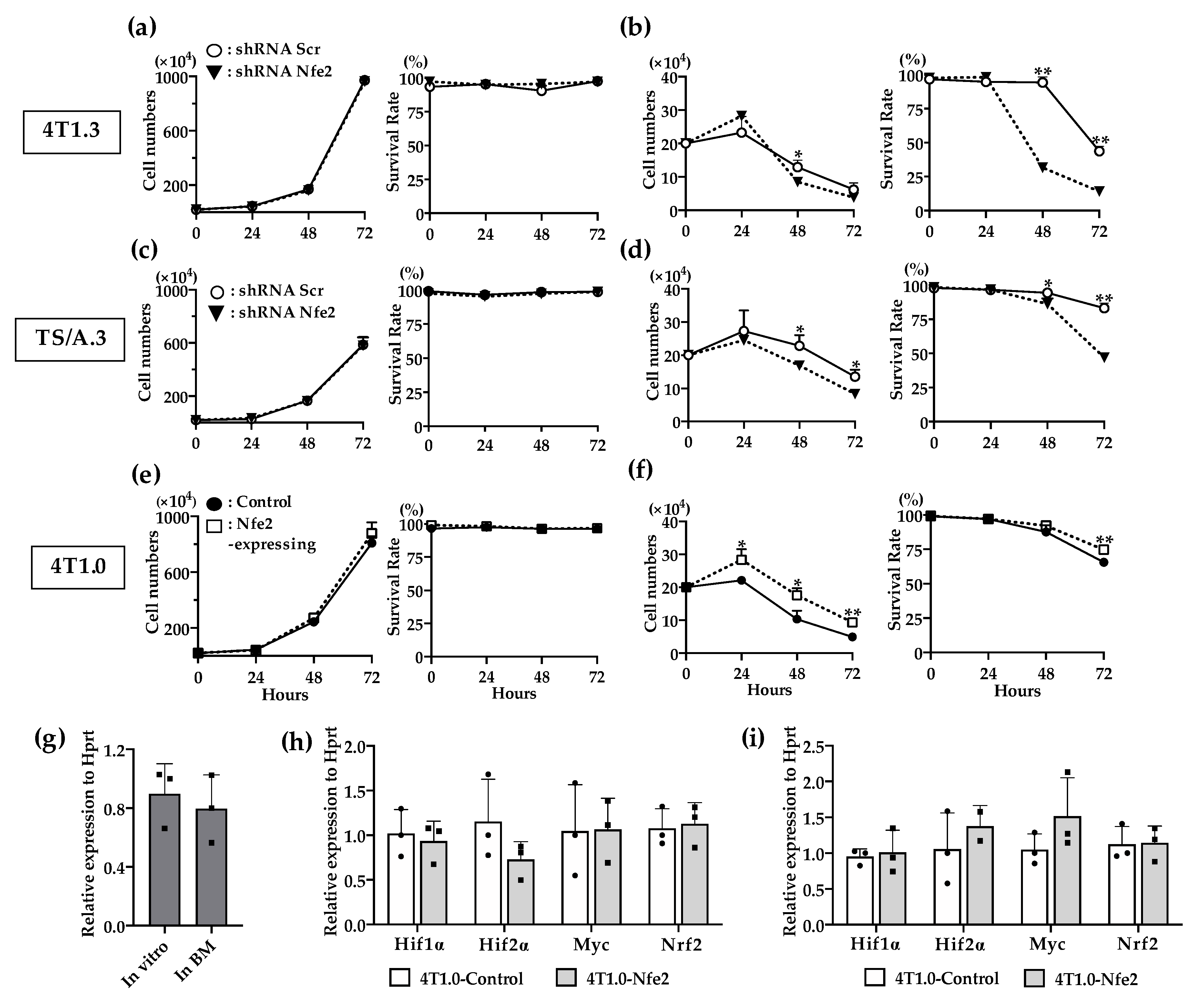 Cancers 12 03003 g005 Cancers 12 03003 g005