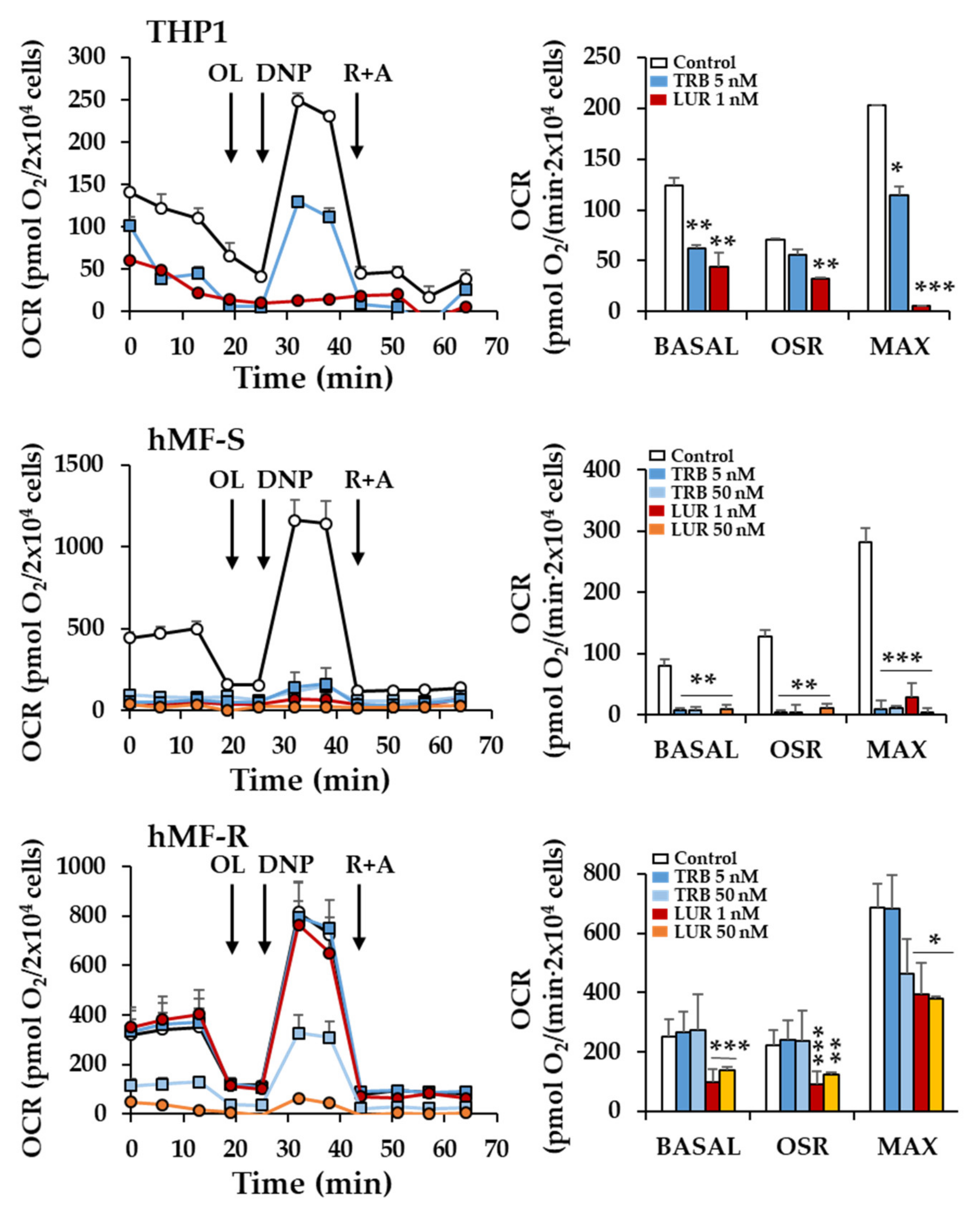 Cancers 12 03060 g004