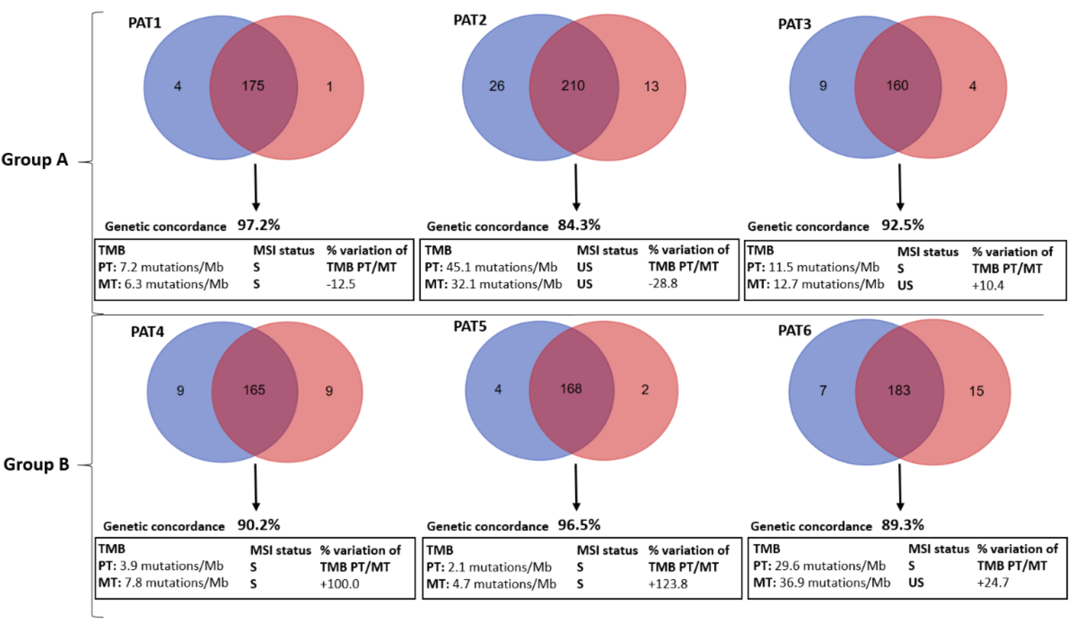 Cancers 12 03073 g001