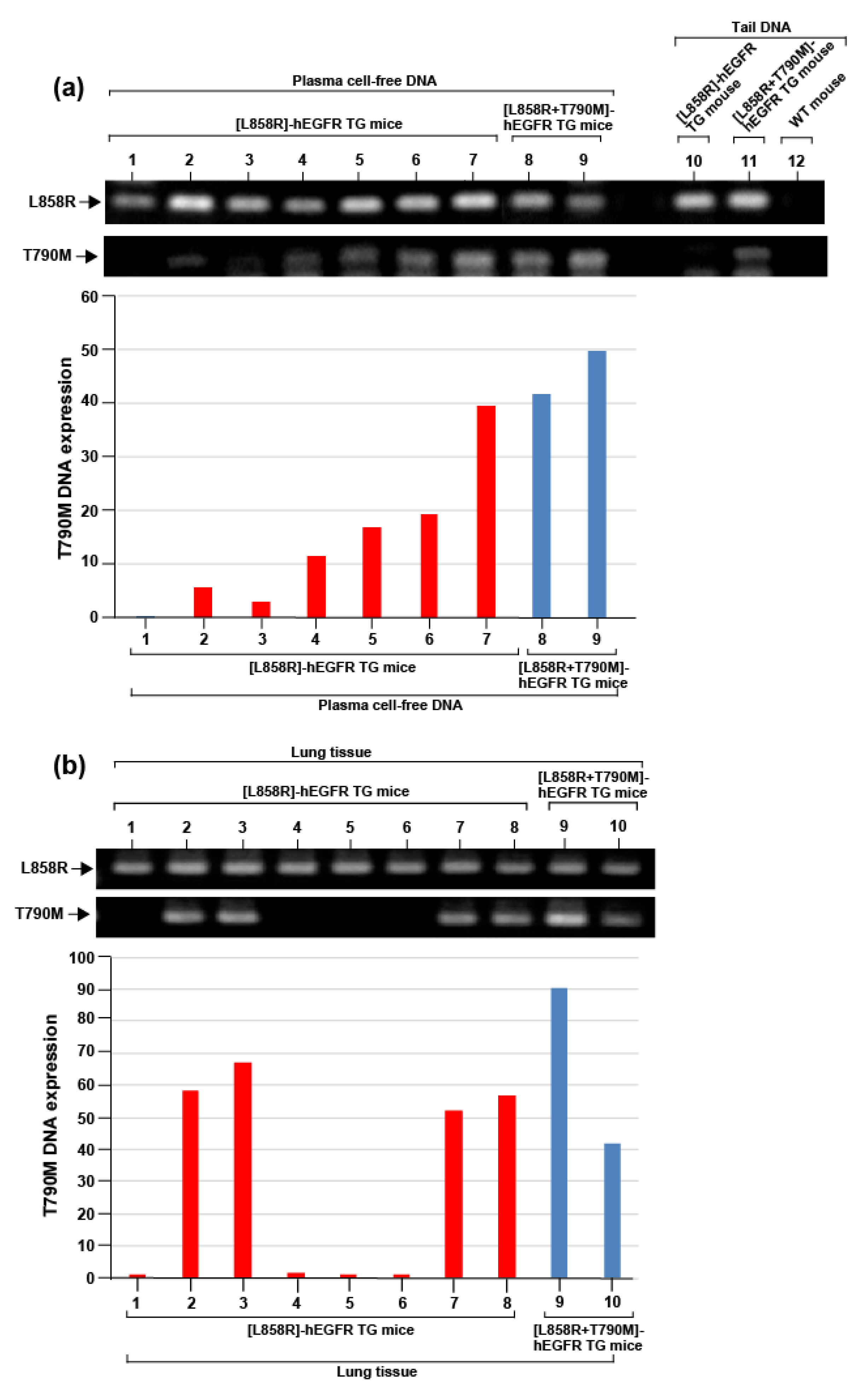 Cancers 12 03074 g004 Cancers 12 03074 g004
