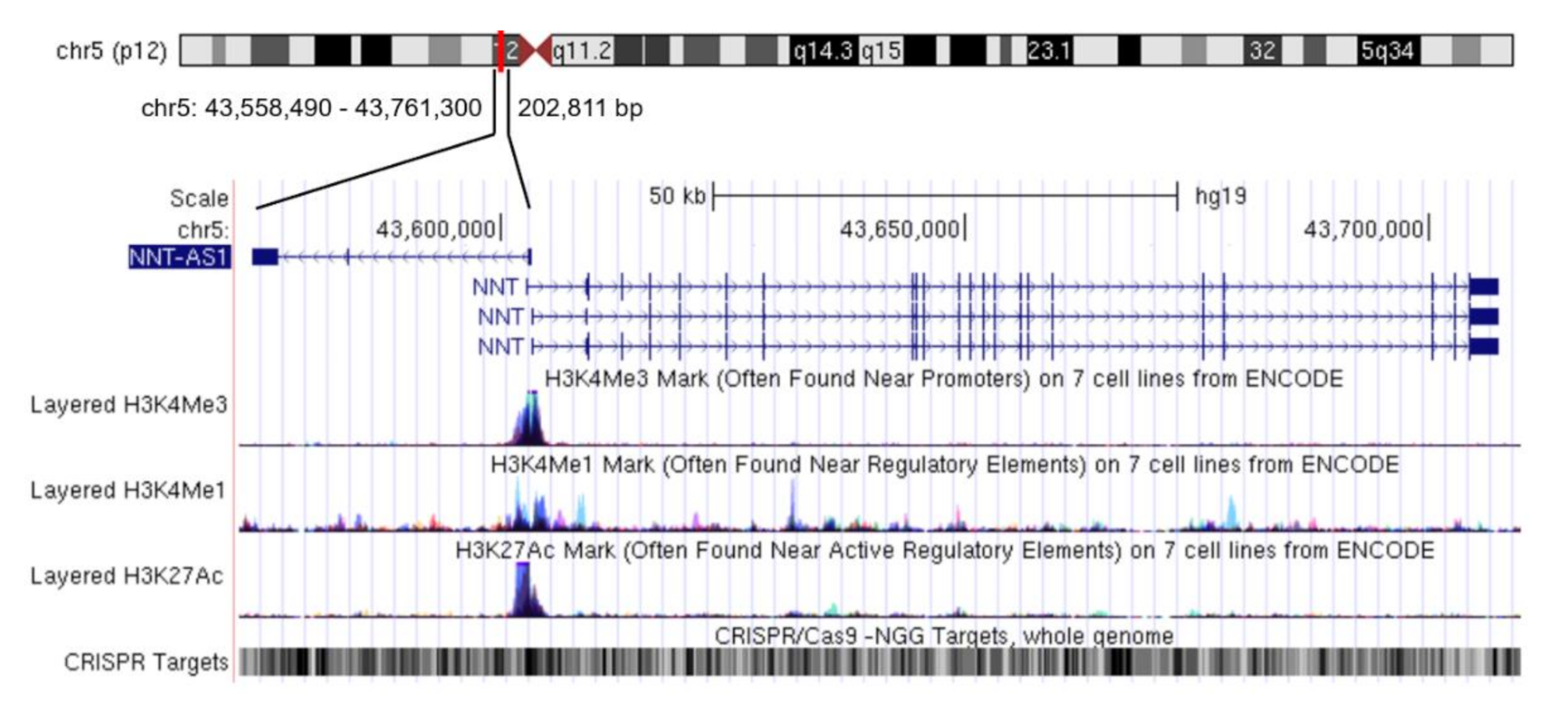 Cancers 12 03086 g001 Cancers 12 03086 g001