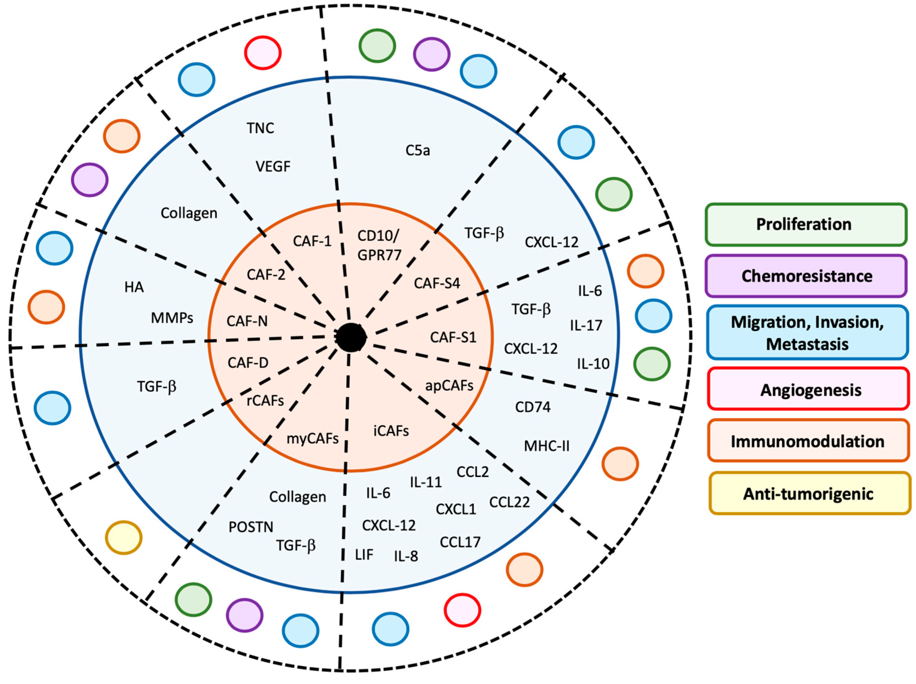 Cancers 12 03108 g002 Cancers 12 03108 g002