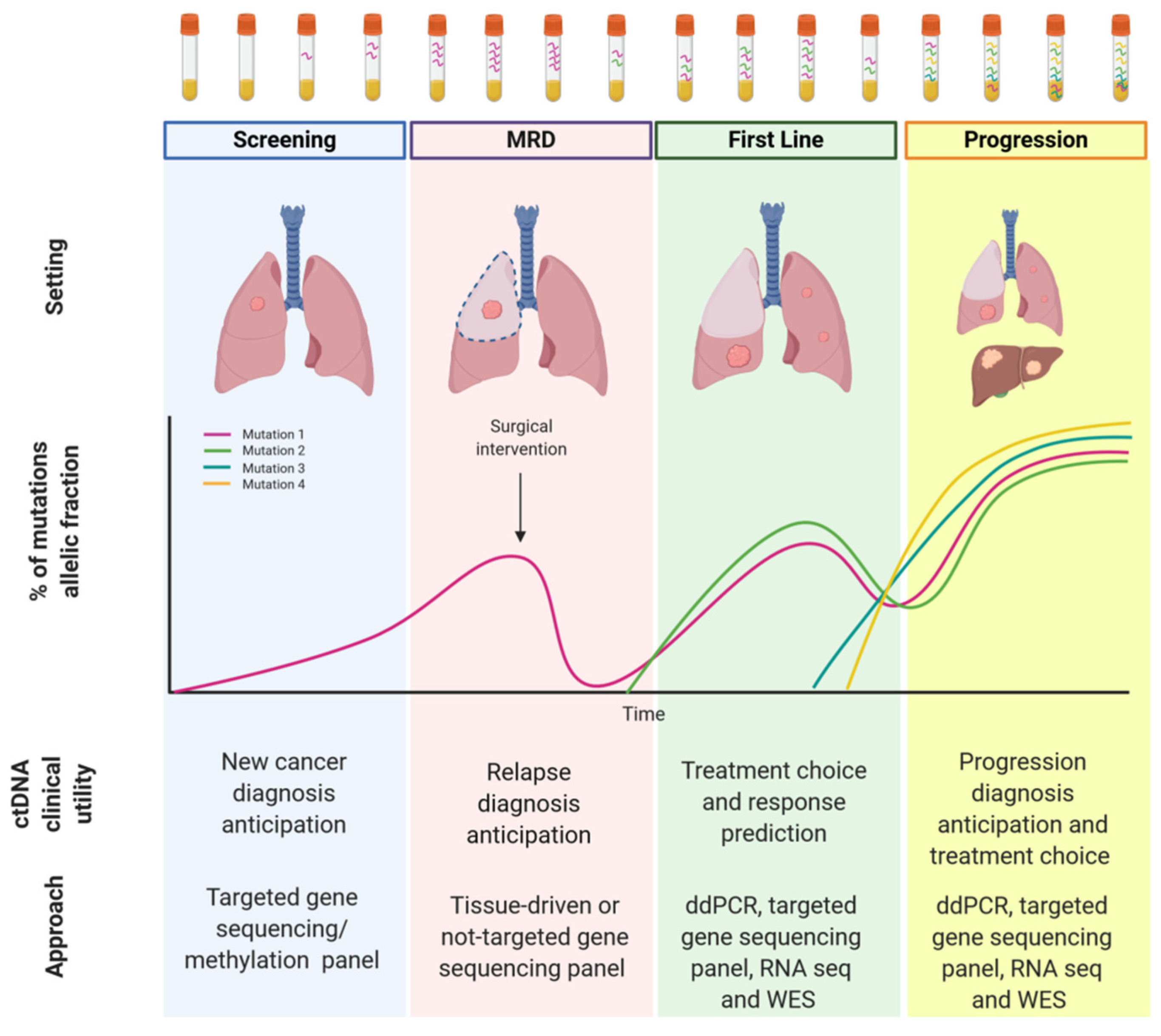 Cancers | Free Full-Text | Implementing ctDNA Analysis in the Clinic:  Challenges and Opportunities in Non-Small Cell Lung Cancer