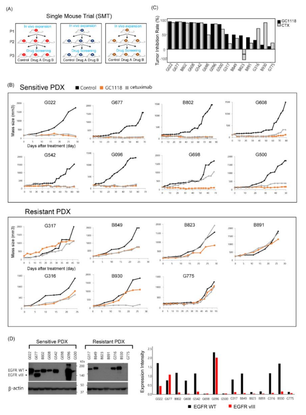 Cancers 12 03210 g001 Cancers 12 03210 g001