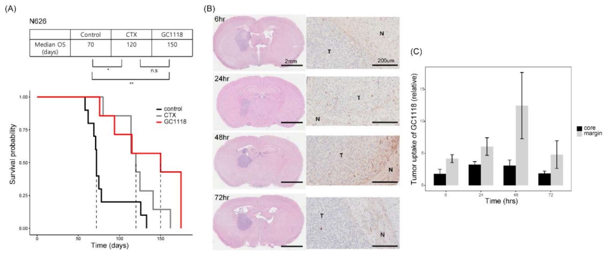 Cancers 12 03210 g004 Cancers 12 03210 g004