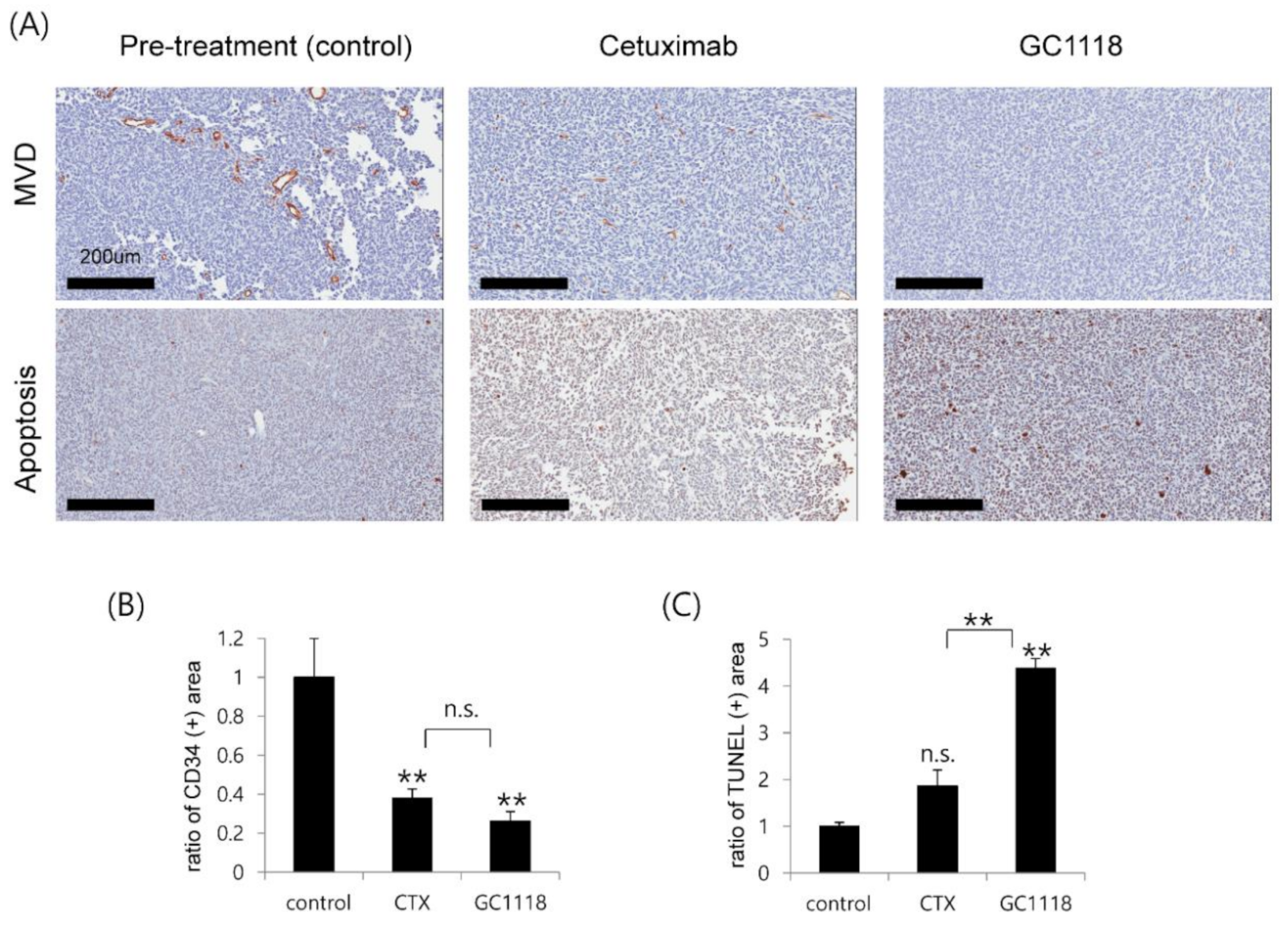 Cancers 12 03210 g005 Cancers 12 03210 g005