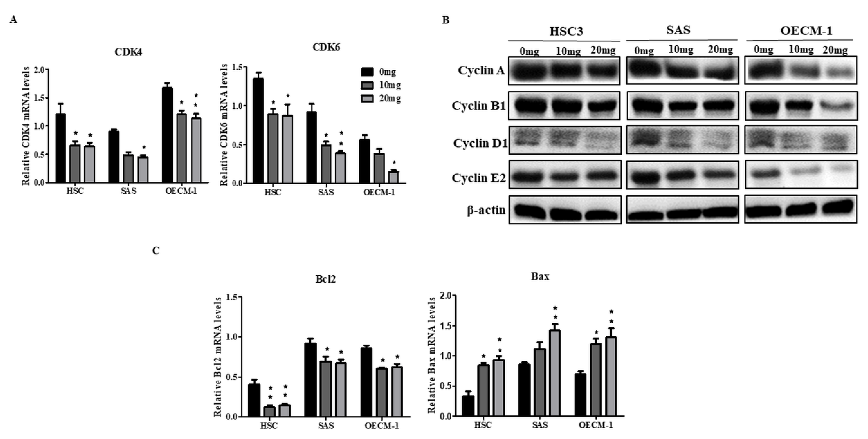Cancers 12 03214 g002