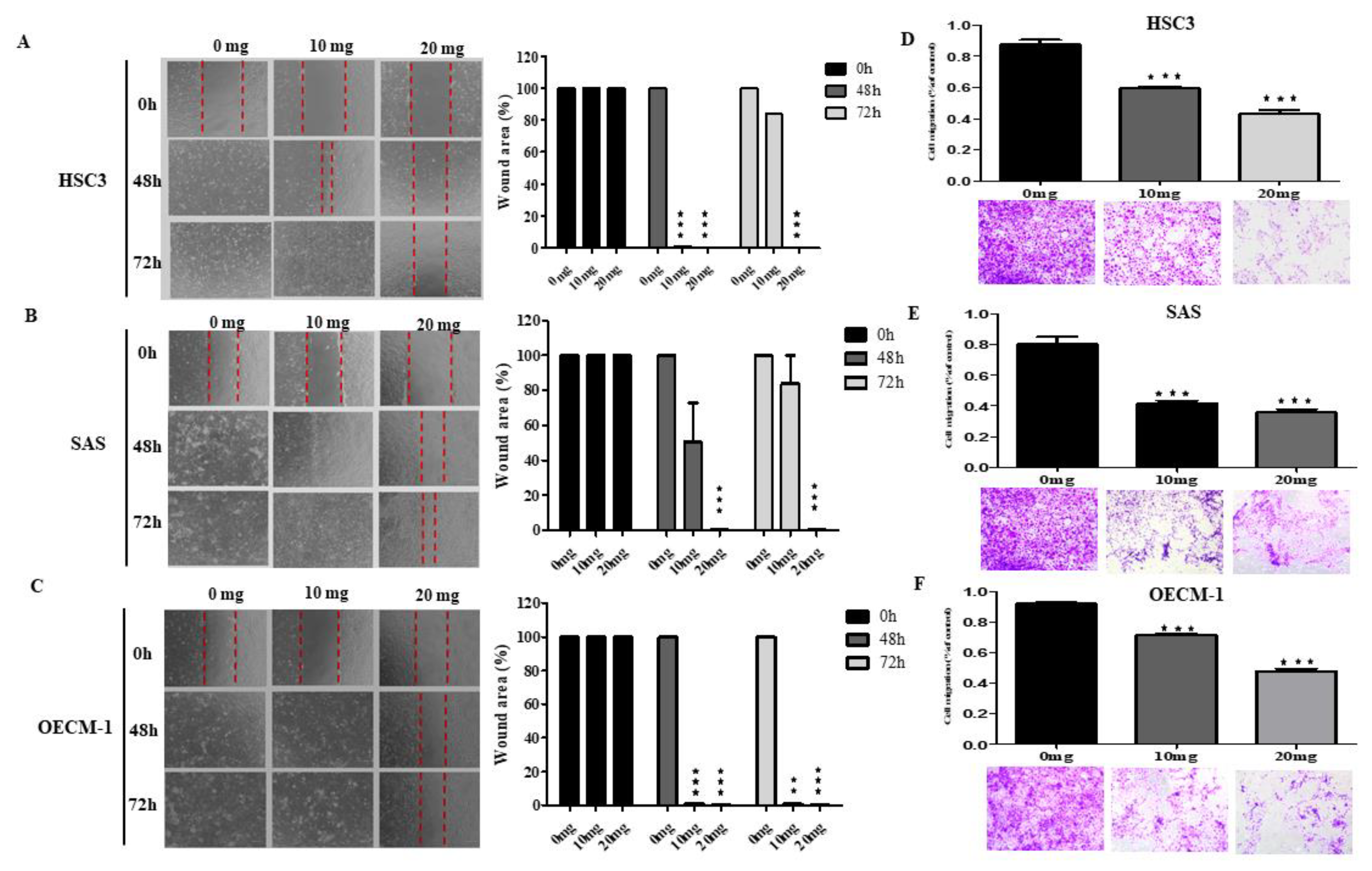 Cancers 12 03214 g004