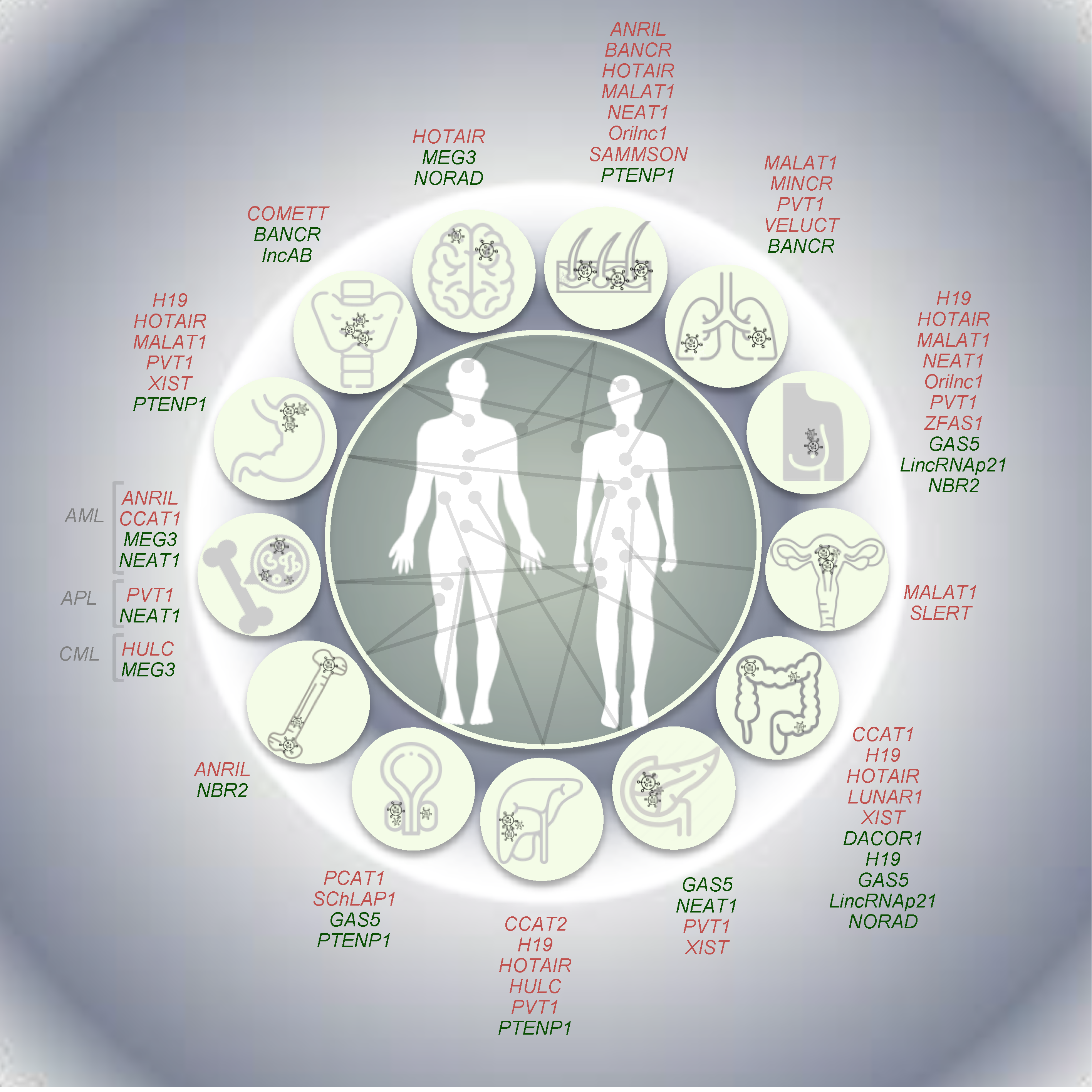 Cancers 12 03220 g003 Cancers 12 03220 g003