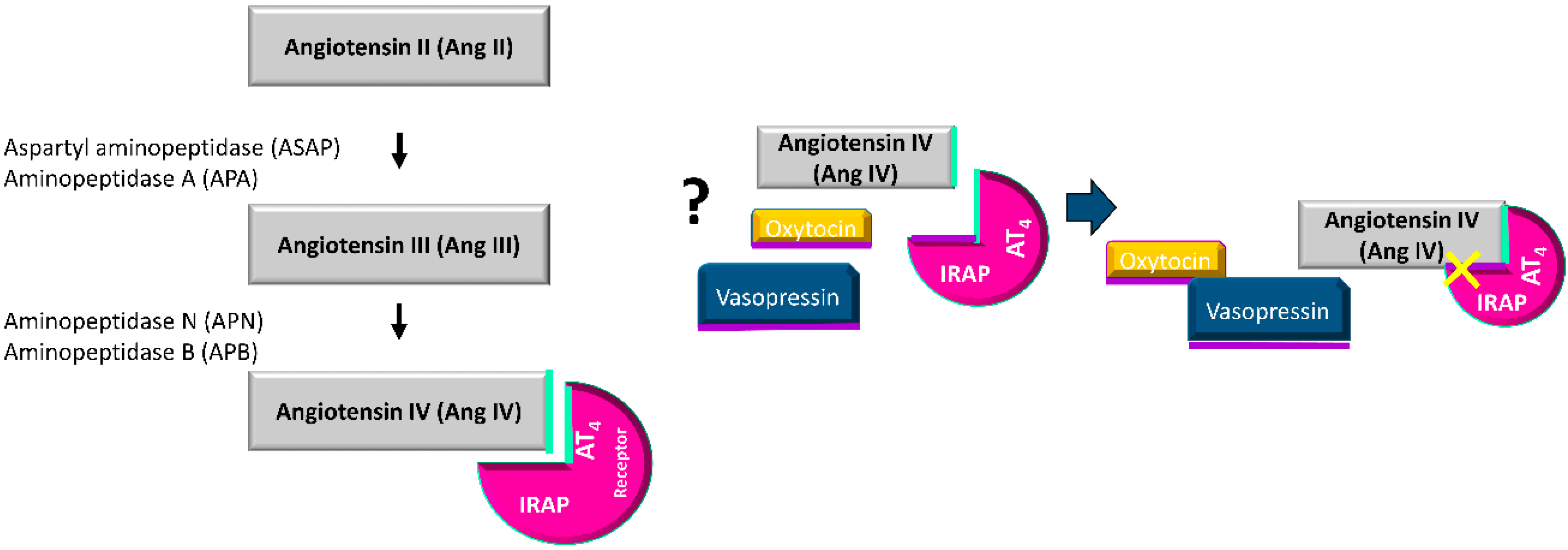 Cancers 12 03252 g004 Cancers 12 03252 g004