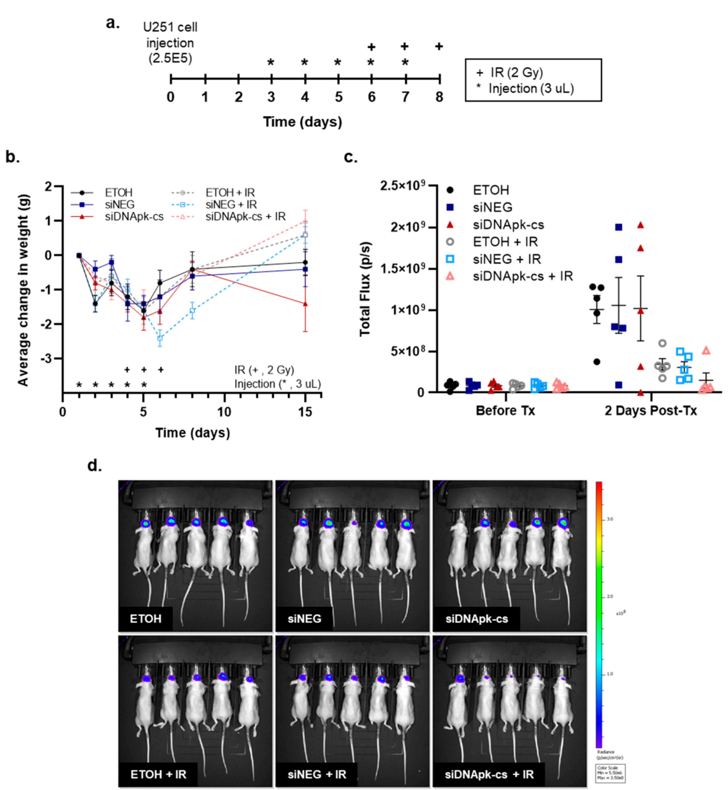 Cancers 12 03260 g005