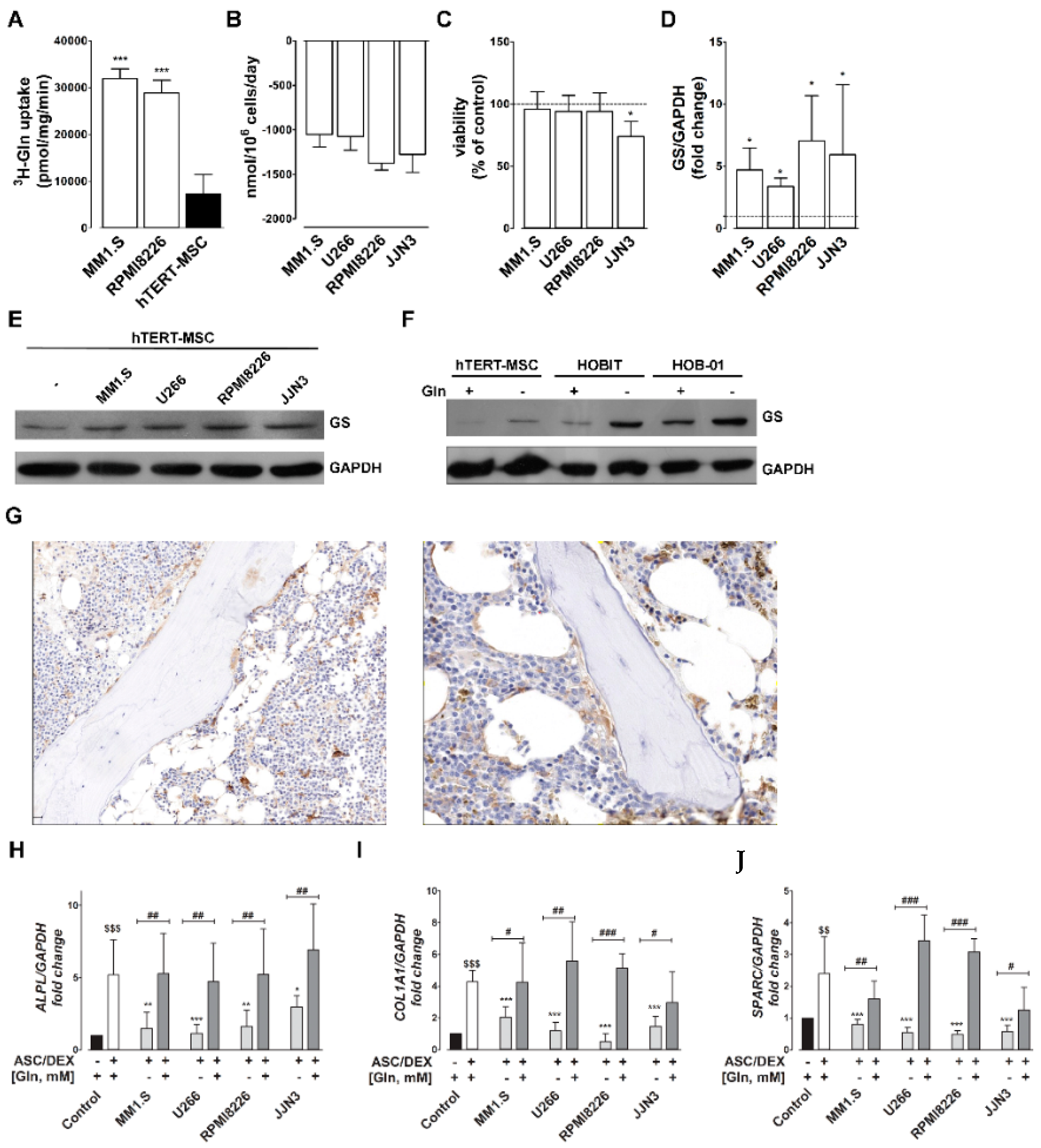 Cancers 12 03267 g001