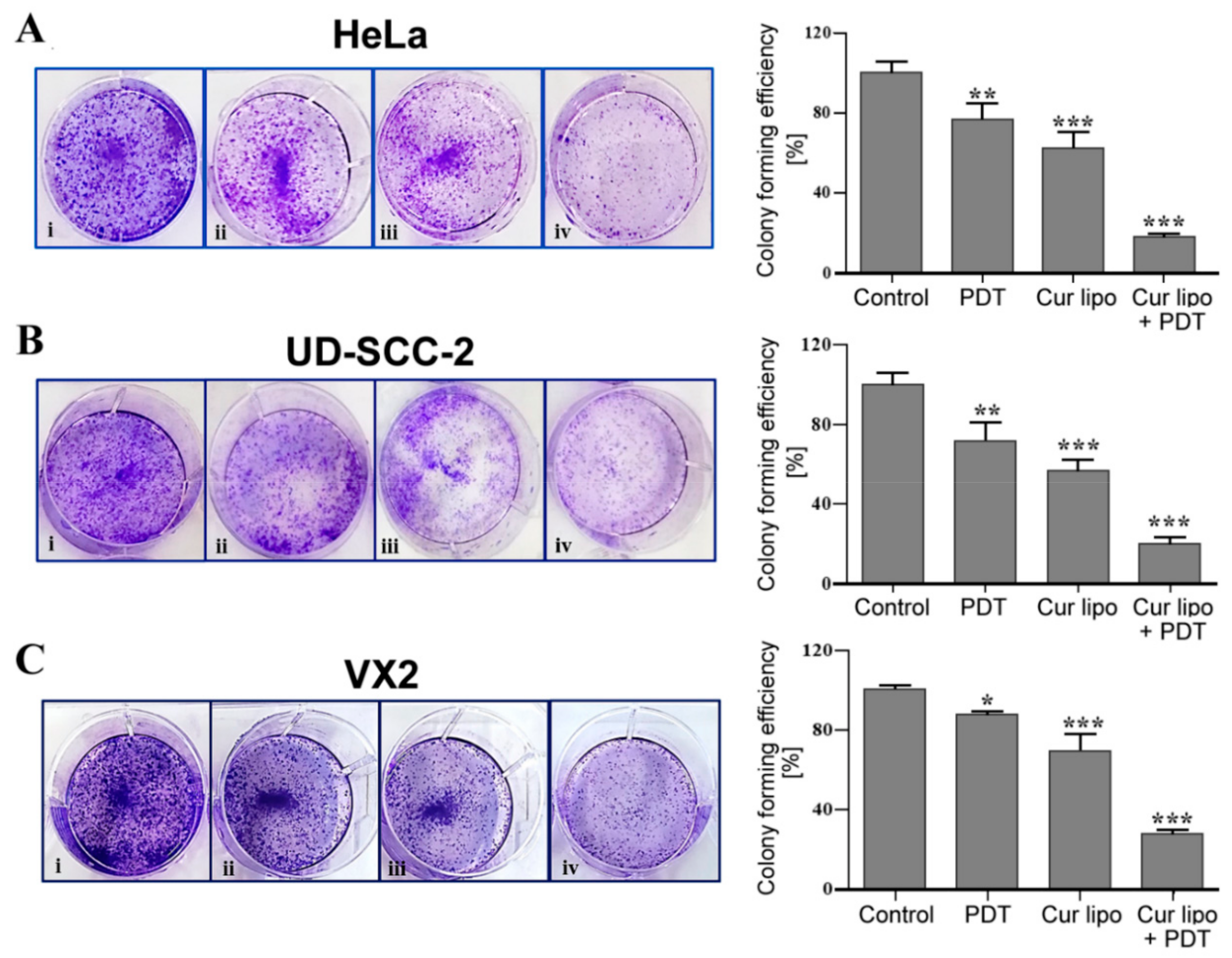 Cancers 12 03278 g005