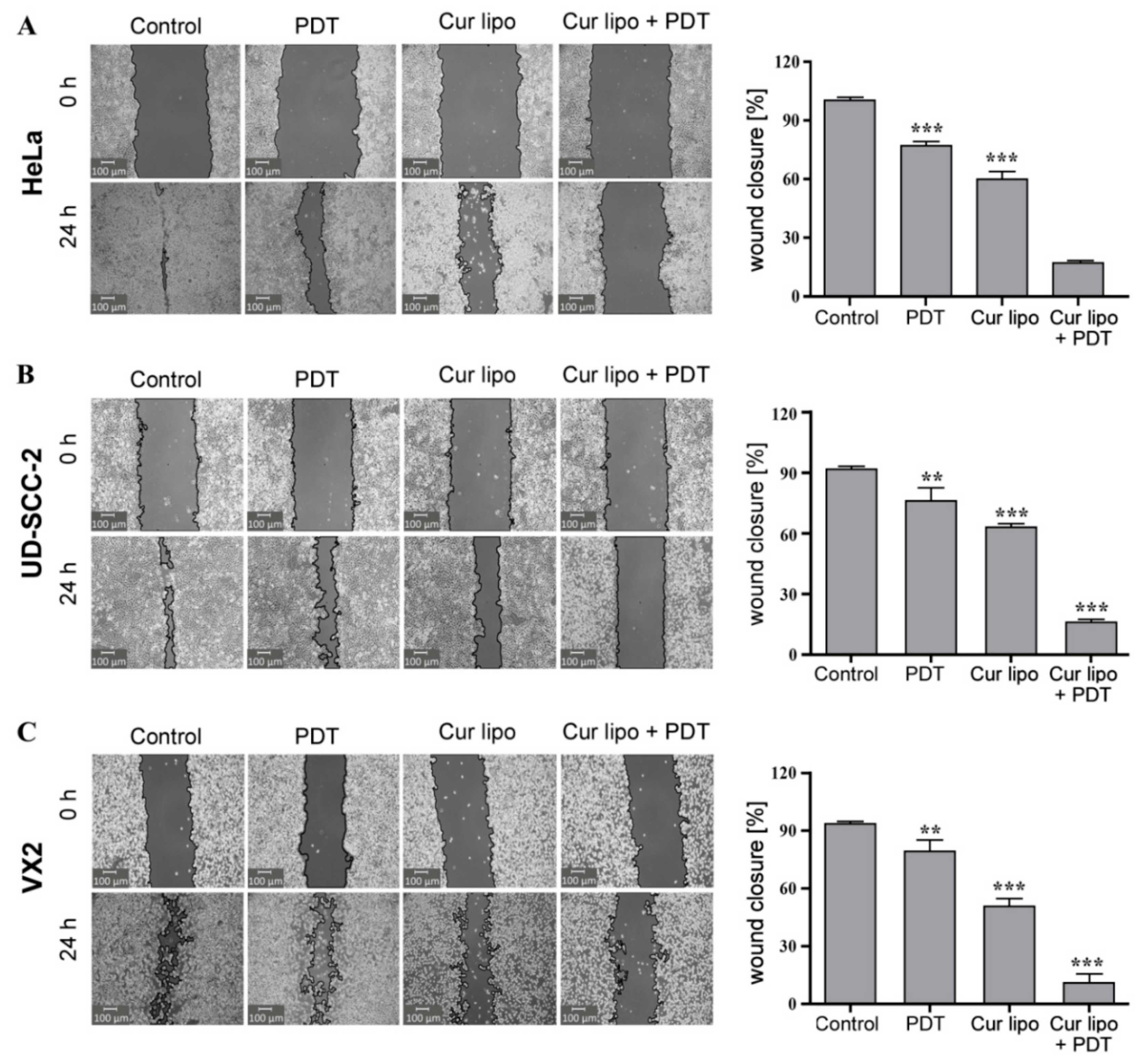 Cancers 12 03278 g006