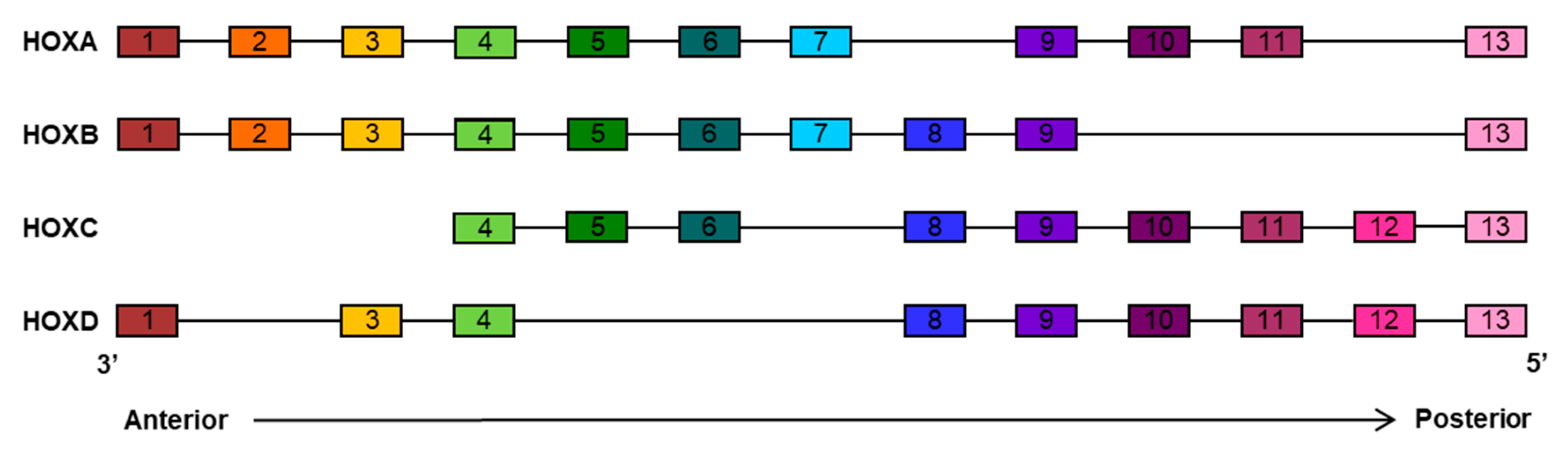 Cancers 12 03299 g001