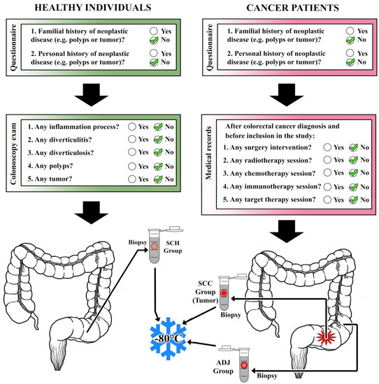 Cancers Free Full Text Role Of Mirnas In Sigmoid Colon Cancer A Search For Potential Biomarkers Html